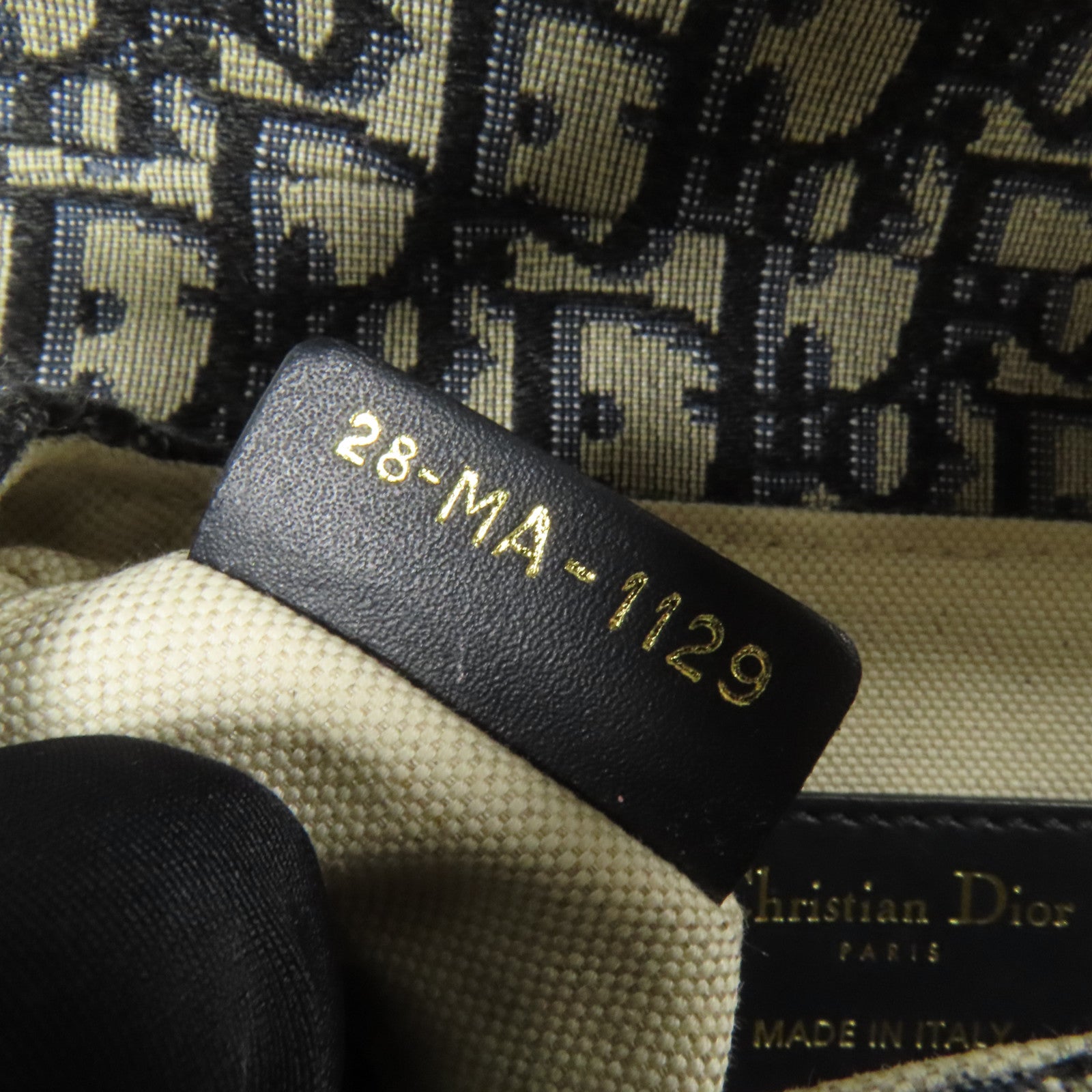 Dior 帆布Mini Saddle金扣手挽袋