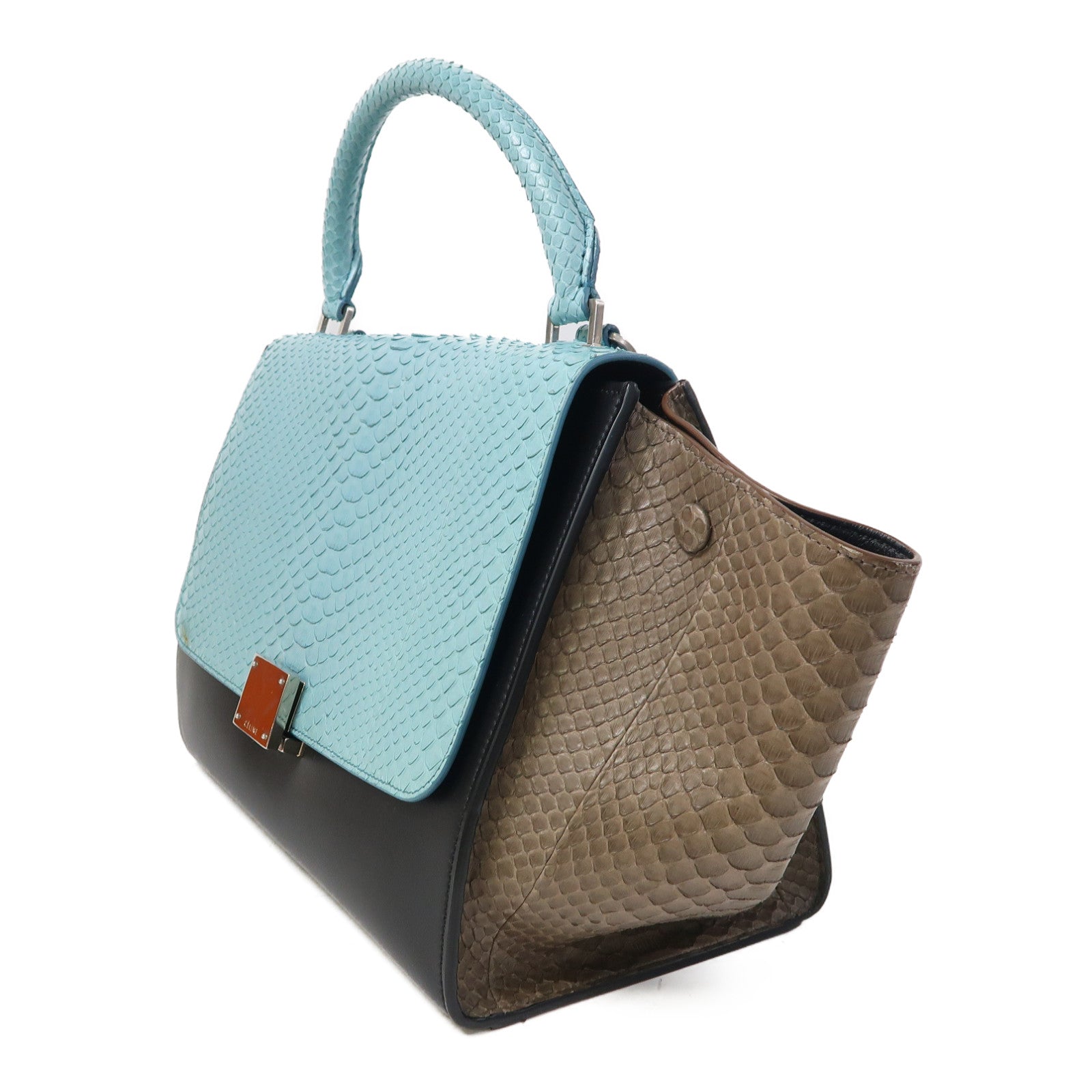 CELINE 蛇皮皮革Trapeze銀扣手挽肩背兩用袋藍色