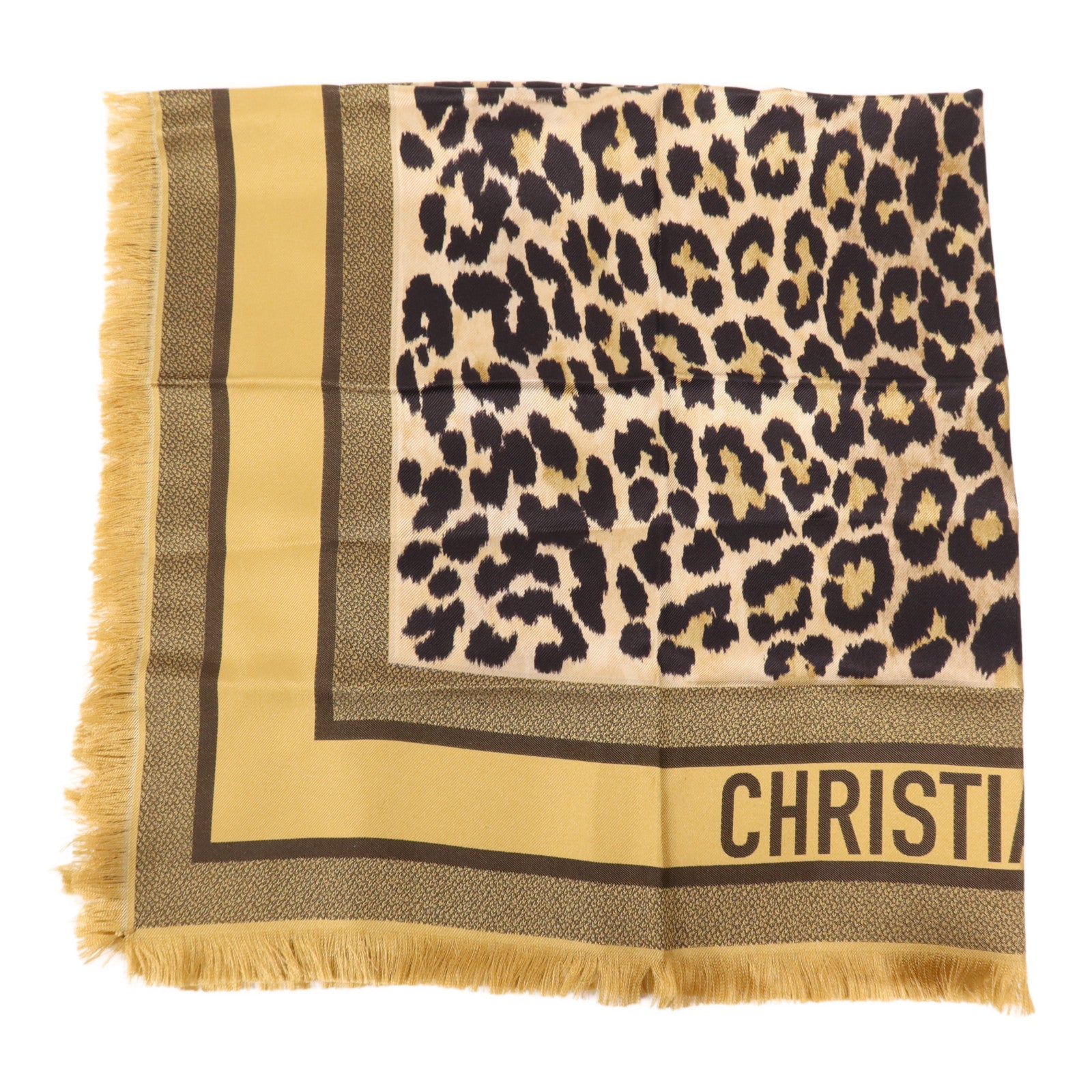 Dior 絲質Scarf絲巾