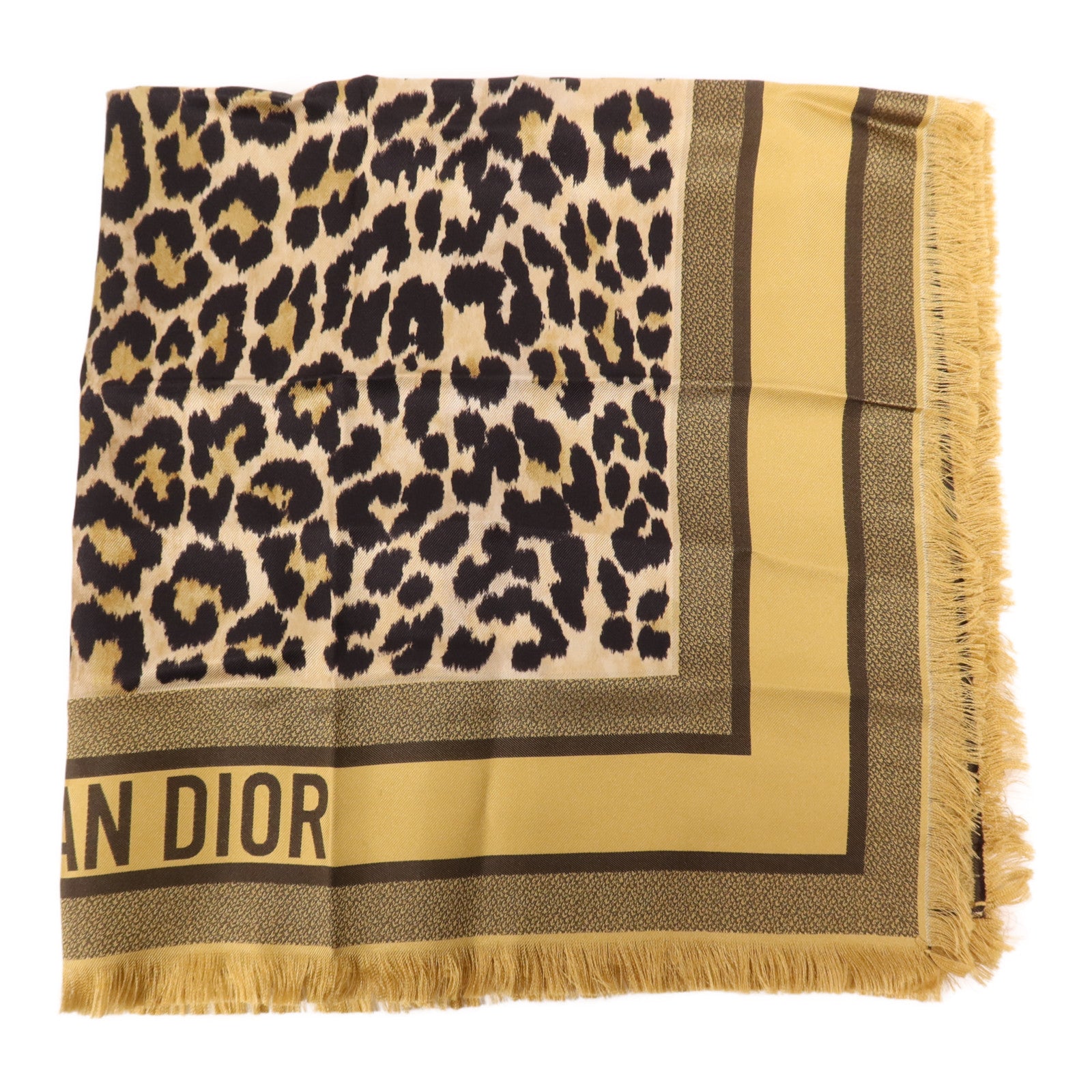 Dior 絲質Scarf絲巾