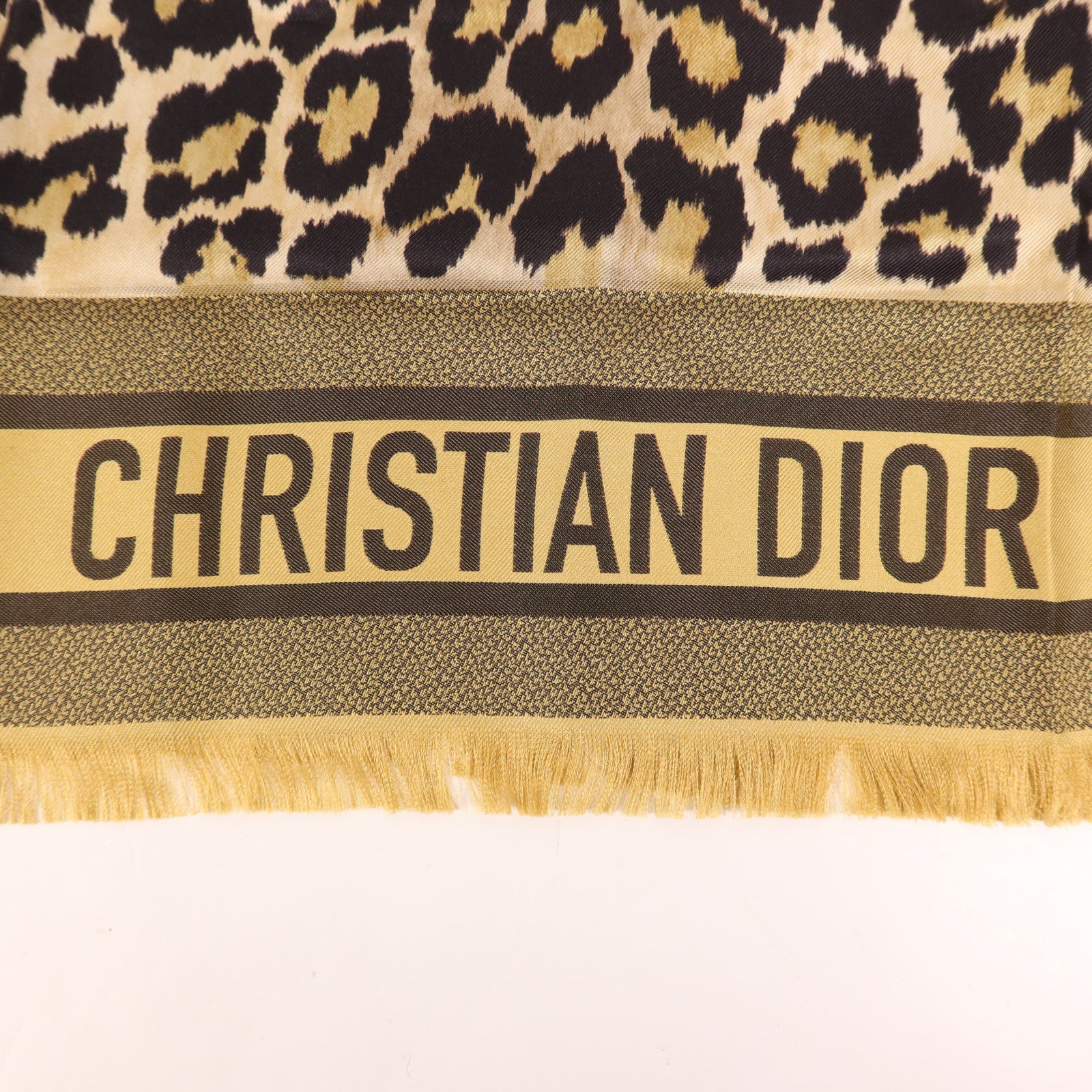 Dior 絲質Scarf絲巾