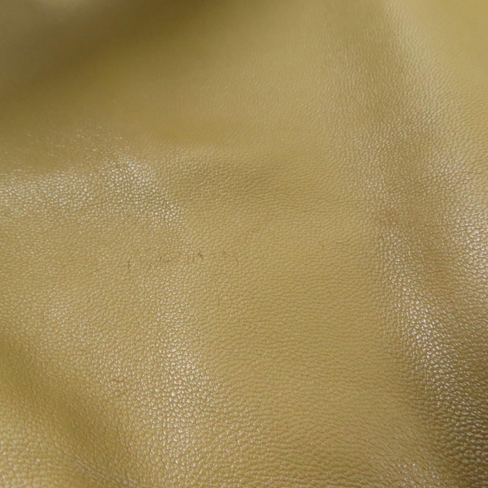 CELINE 蛇皮皮革/皮革Shoulder Bag肩背袋