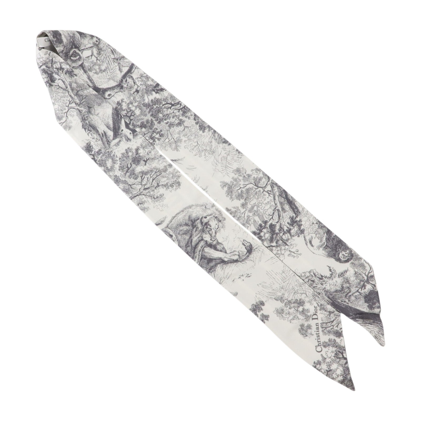 Dior 絲質Toile de Jouy Sauvage Mitzah Scarf絲巾