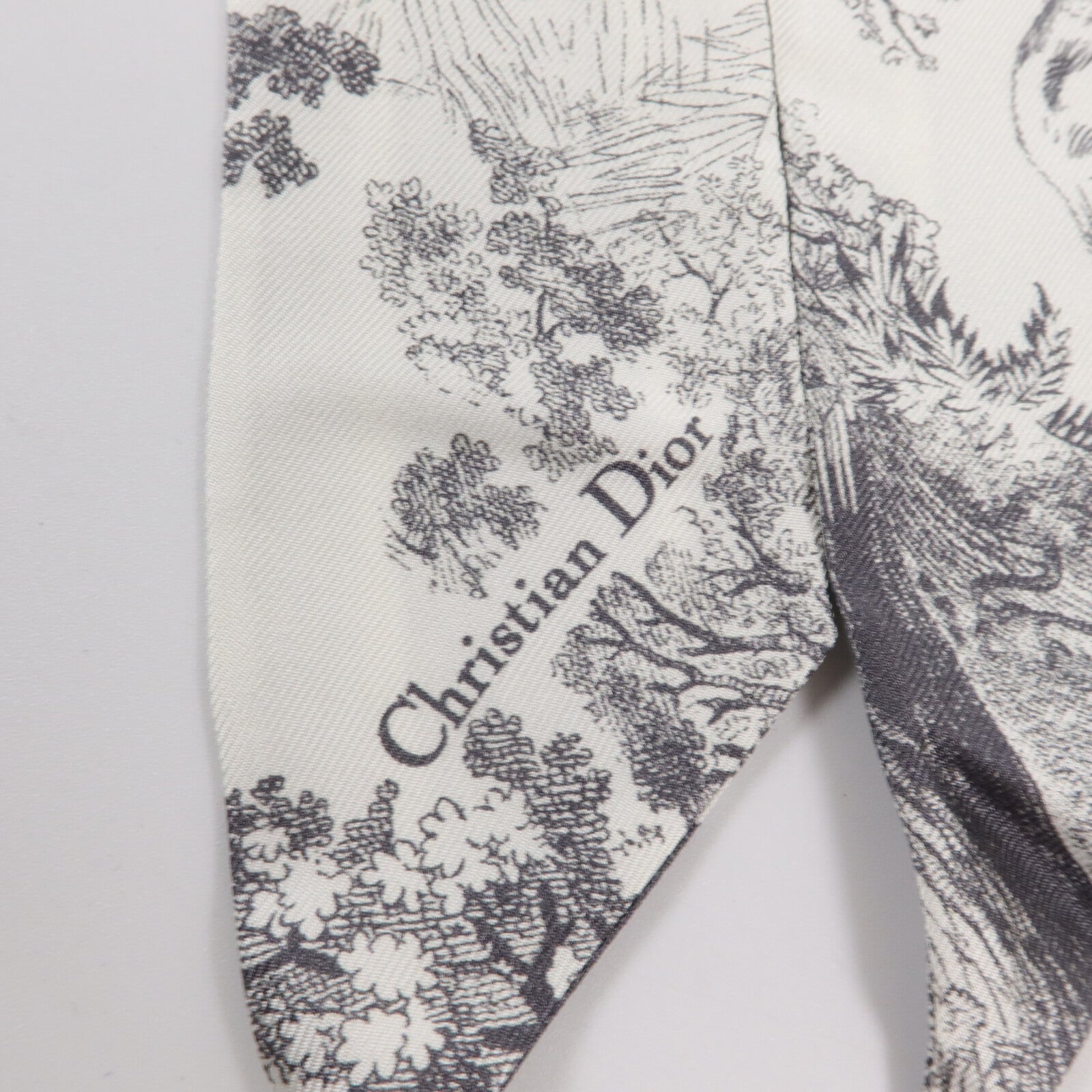 Dior 絲質Toile de Jouy Sauvage Mitzah Scarf絲巾