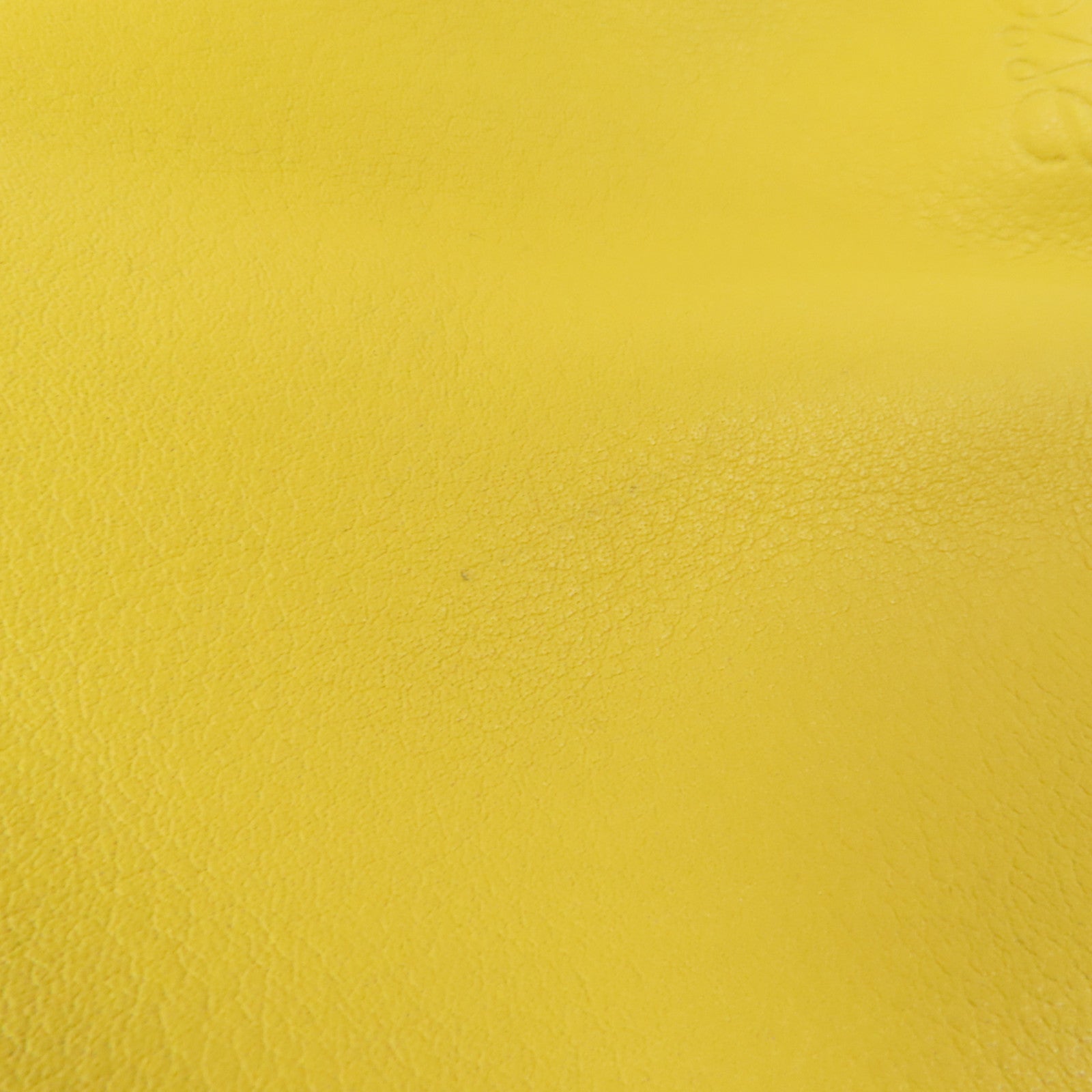 LOEWE 羊皮皮革Flamenco肩背袋