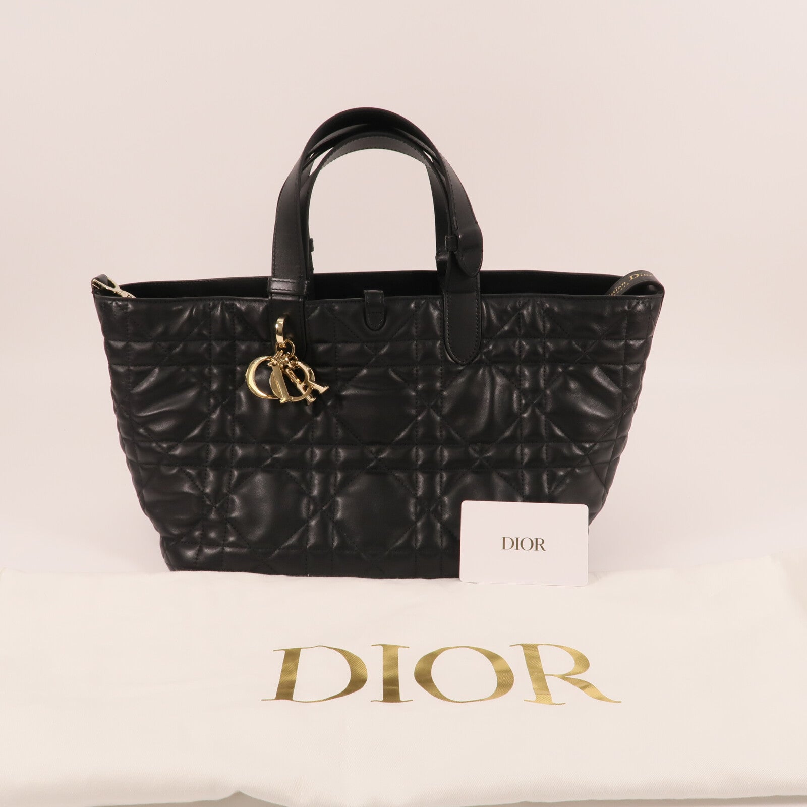 Dior 羊皮皮革Toujours Medium金扣手挽袋