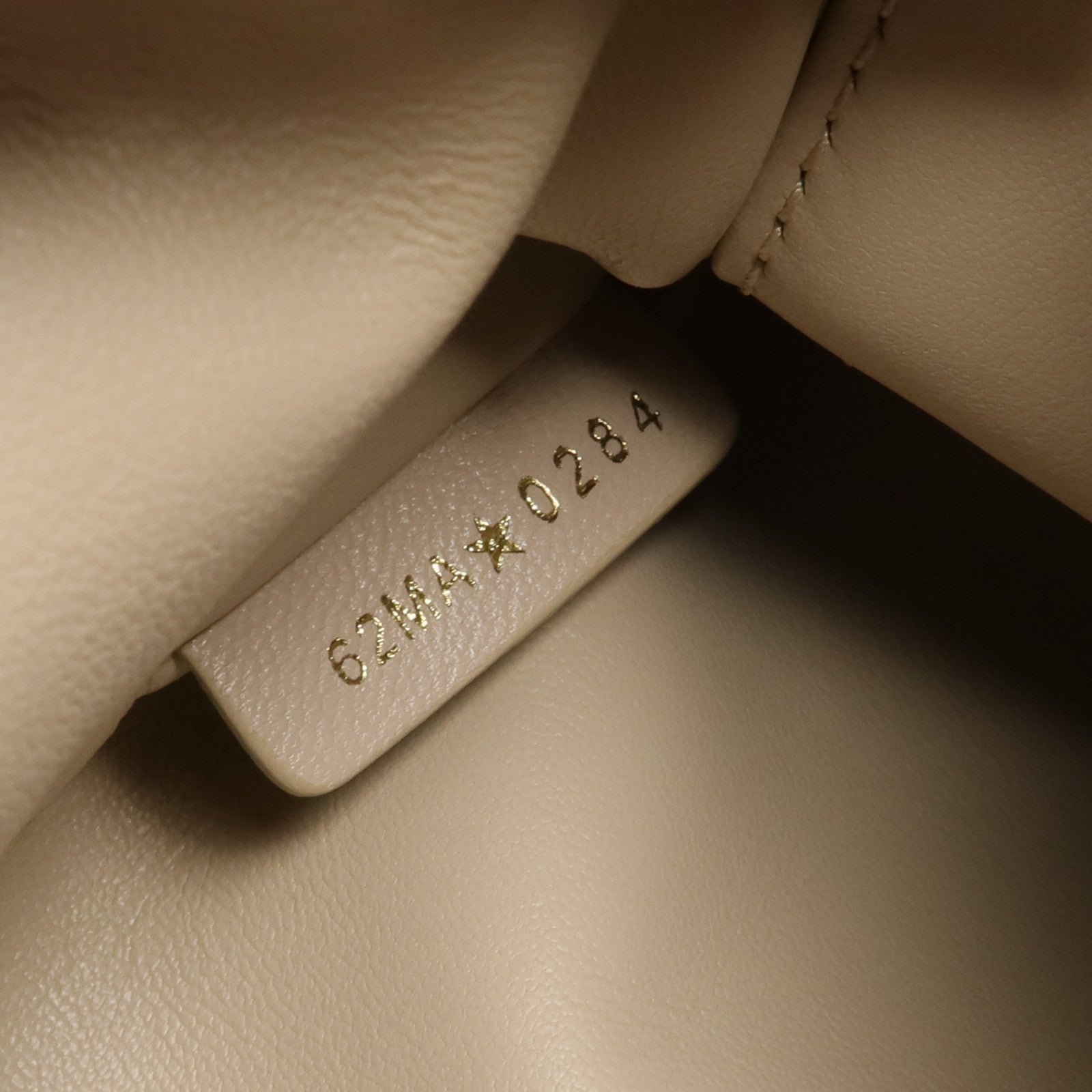 Dior 羊皮皮革Caro Backpack金扣背包