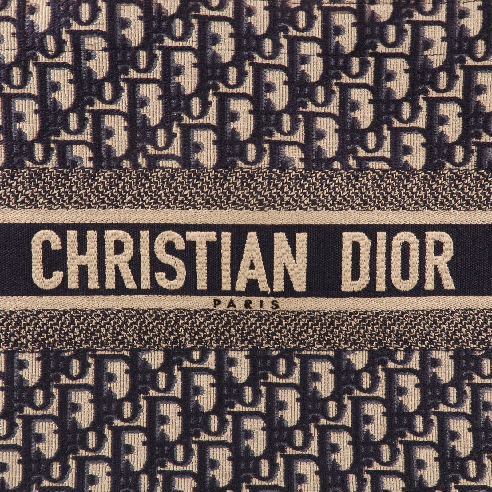 Dior 帆布Book Tote Medium手挽袋