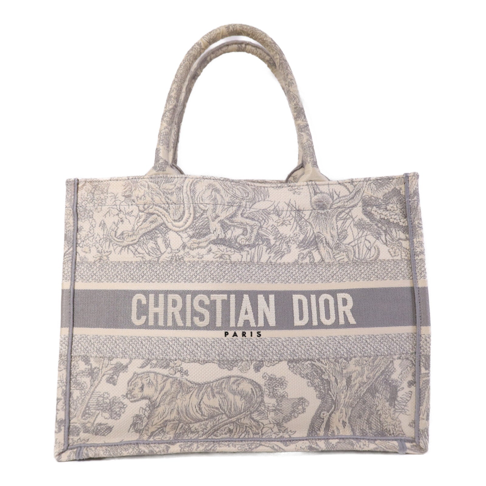 Dior 帆布Book Tote Medium手挽袋