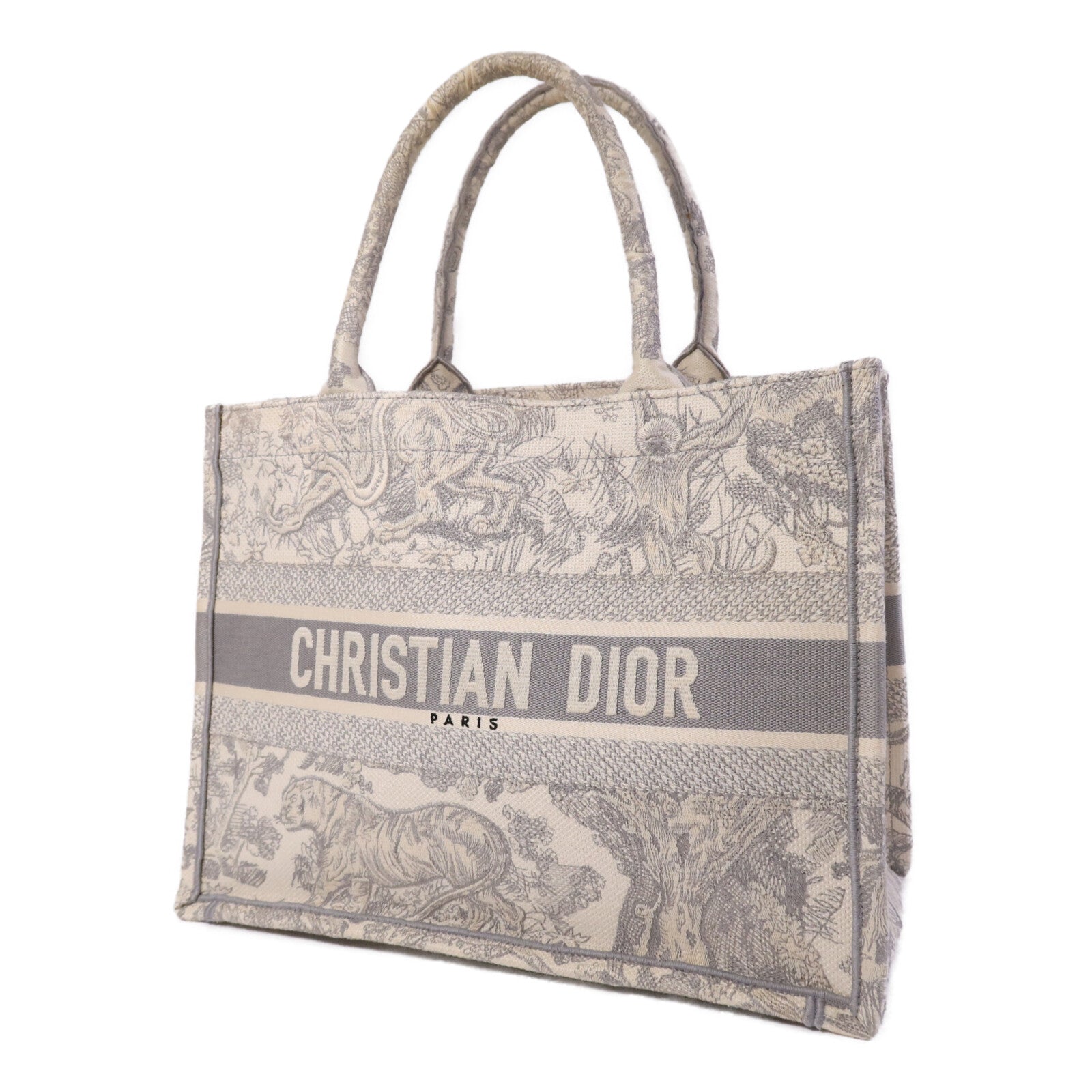 Dior 帆布Book Tote Medium手挽袋