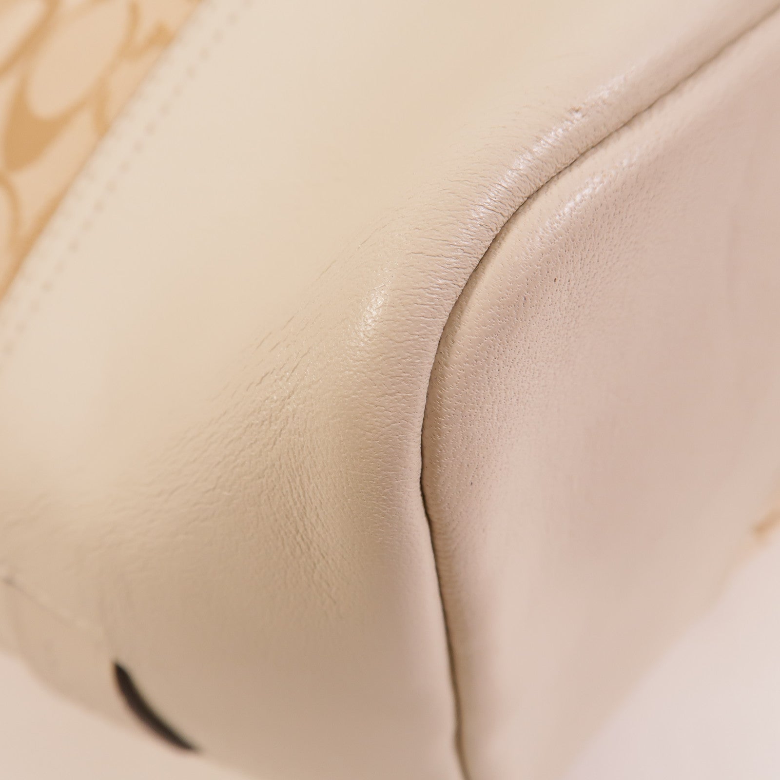 COACH 帆布Tote Bag手挽肩背兩用袋