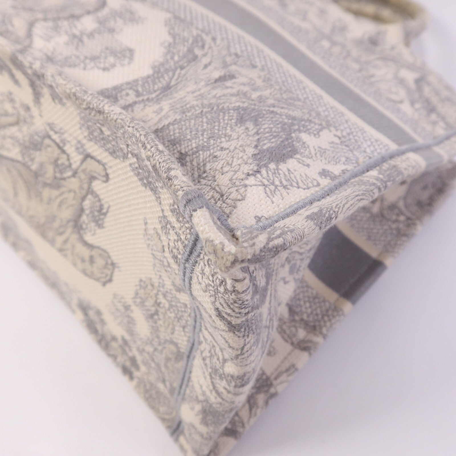 Dior 帆布Book Tote Medium手挽袋