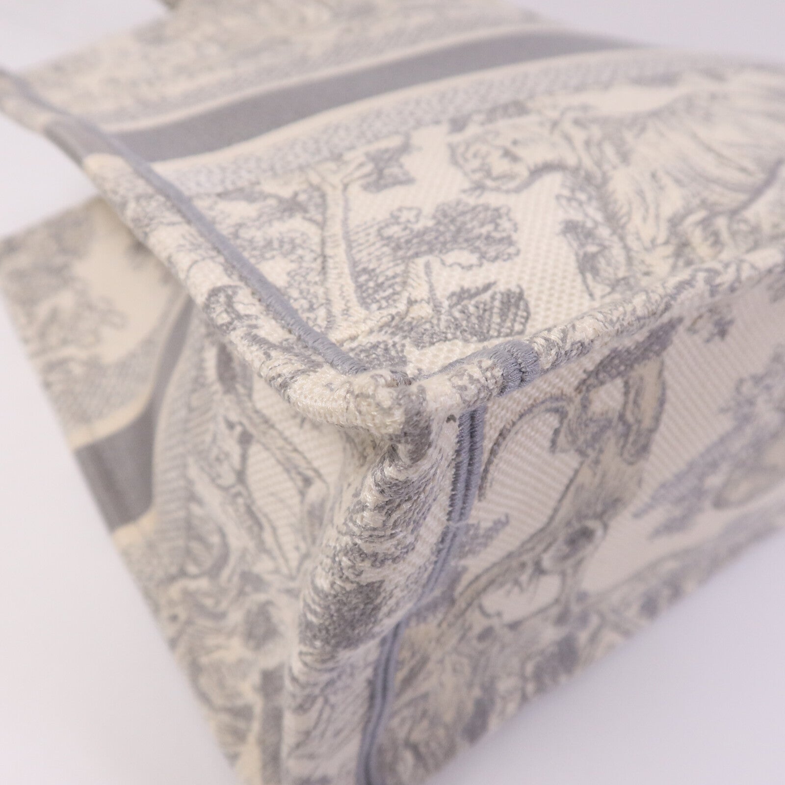 Dior 帆布Book Tote Medium手挽袋