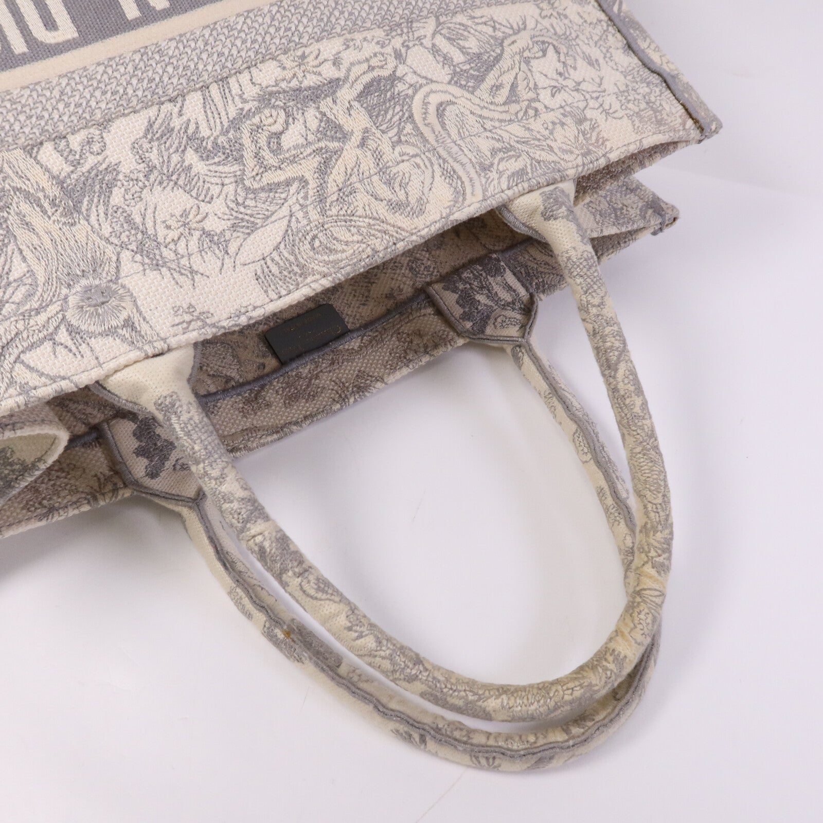 Dior 帆布Book Tote Medium手挽袋