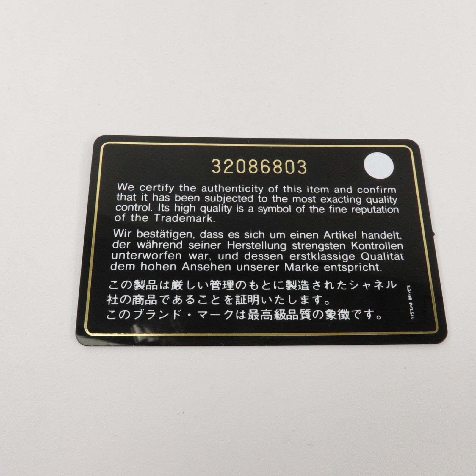 CHANEL 羊皮皮革Chanel 19 Phone Case With Chain鏈帶肩背袋