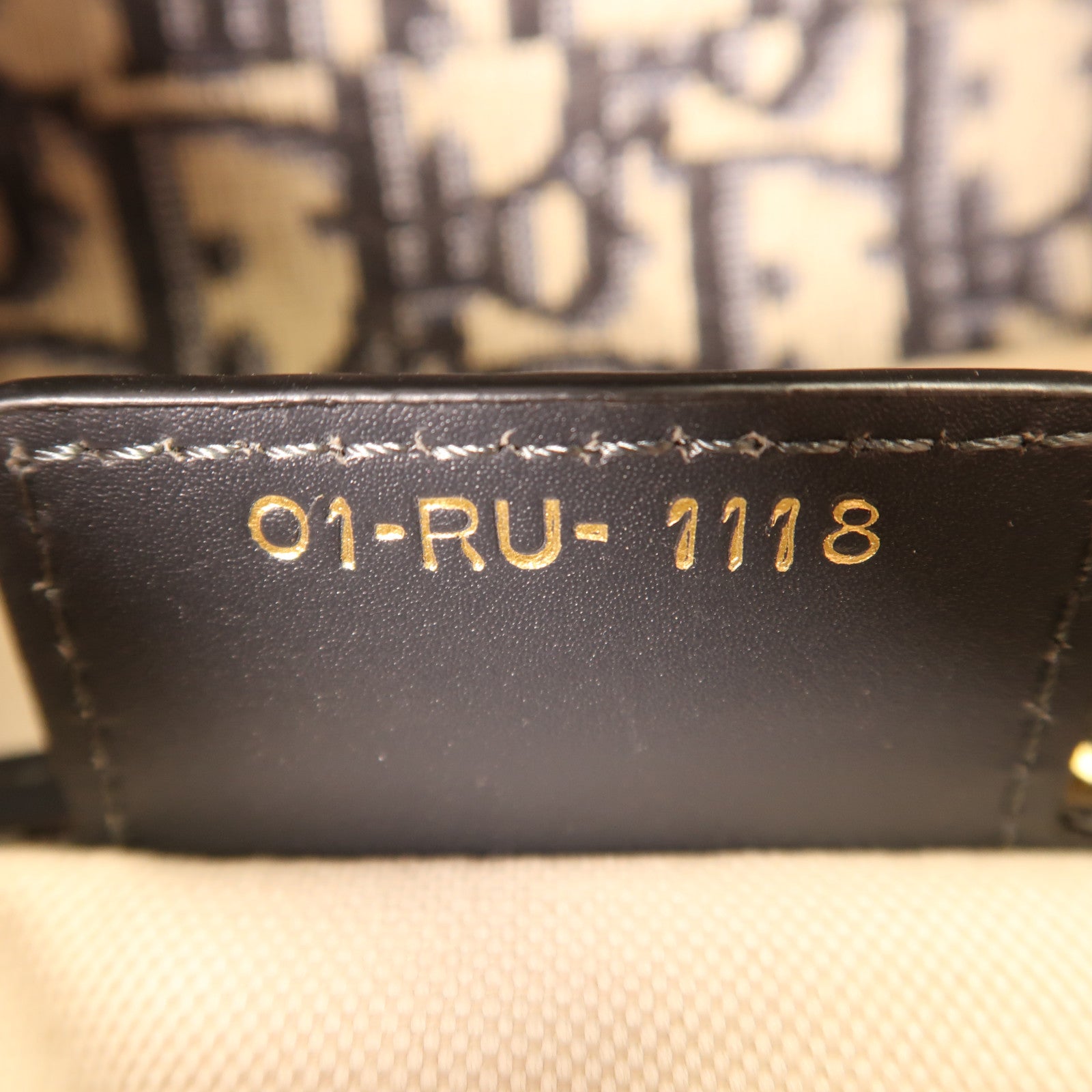 Dior 帆布Saddle金扣肩背袋