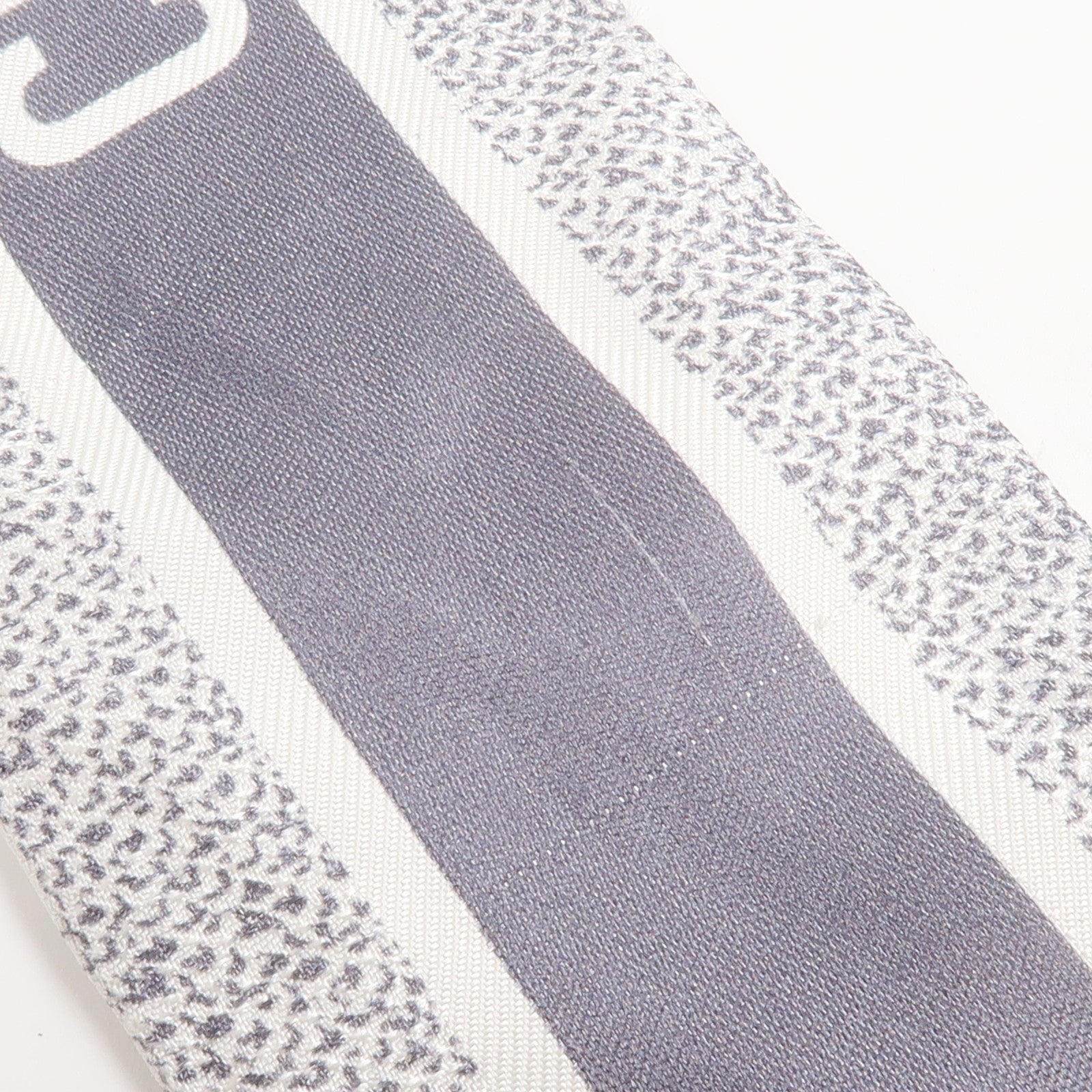 Dior 絲質Toile De Jouy Sauvage Mitzah絲巾