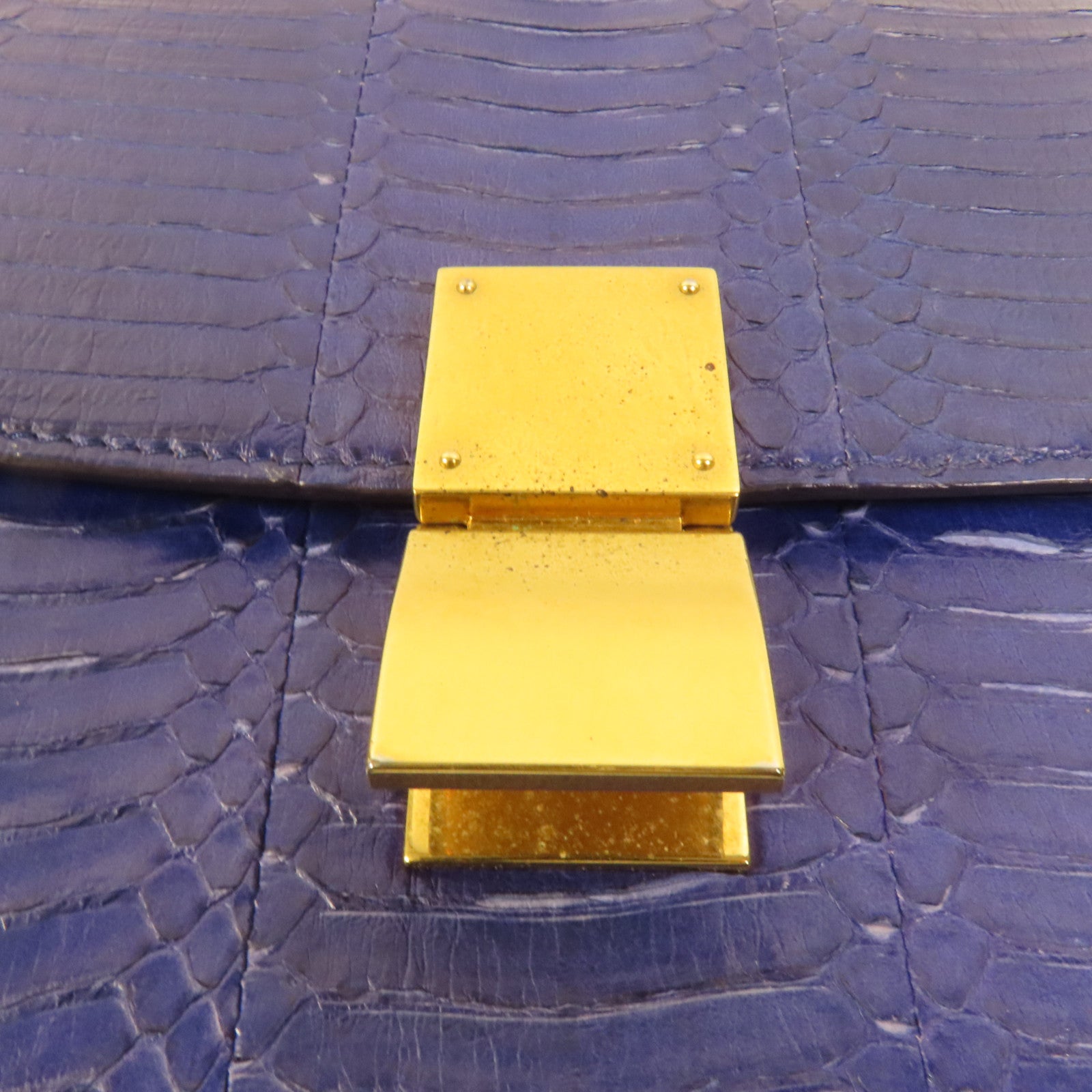 CELINE 蛇皮皮革Classic Box金扣肩背袋