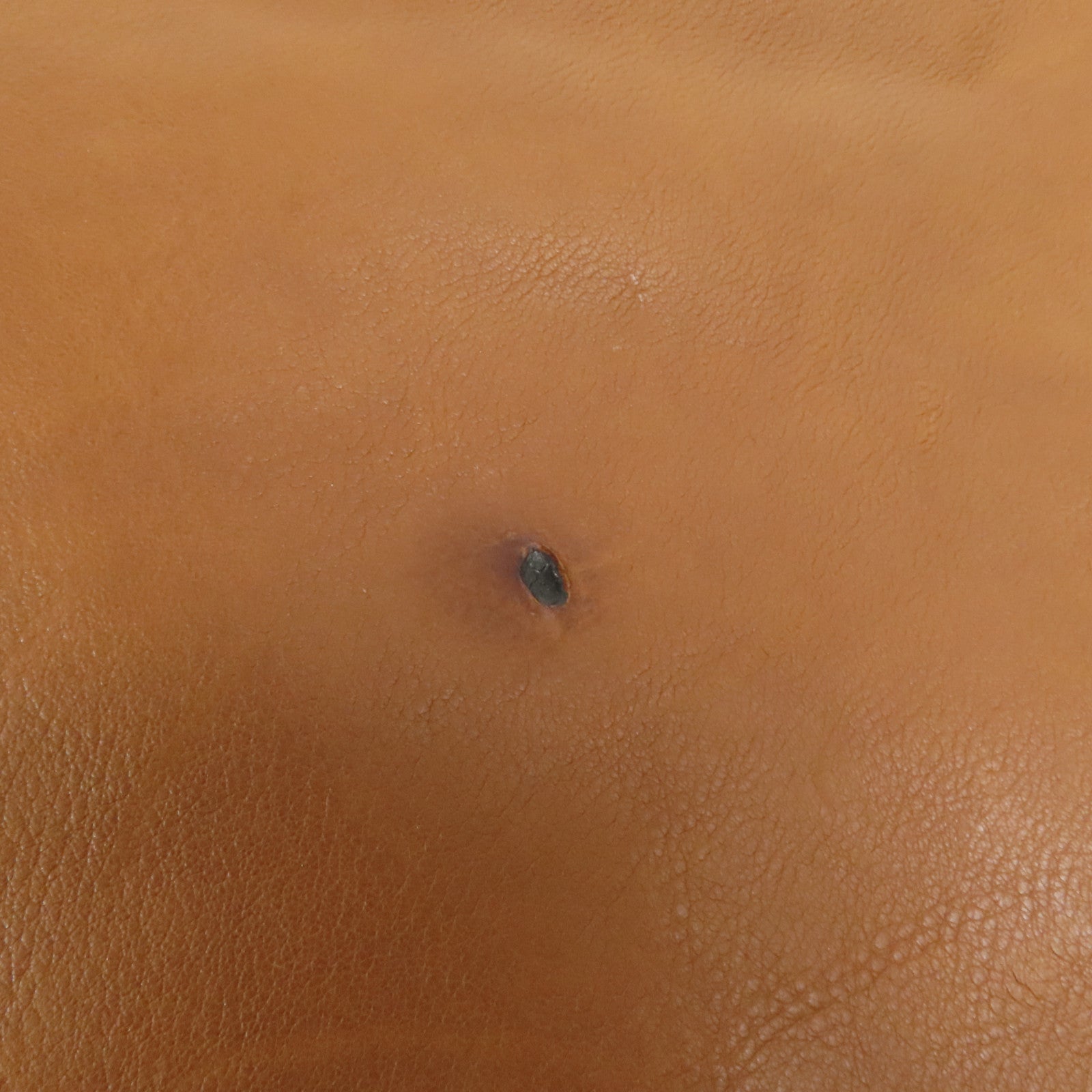 CHANEL 牛皮皮革Coco Bengal Tote銀扣肩背袋