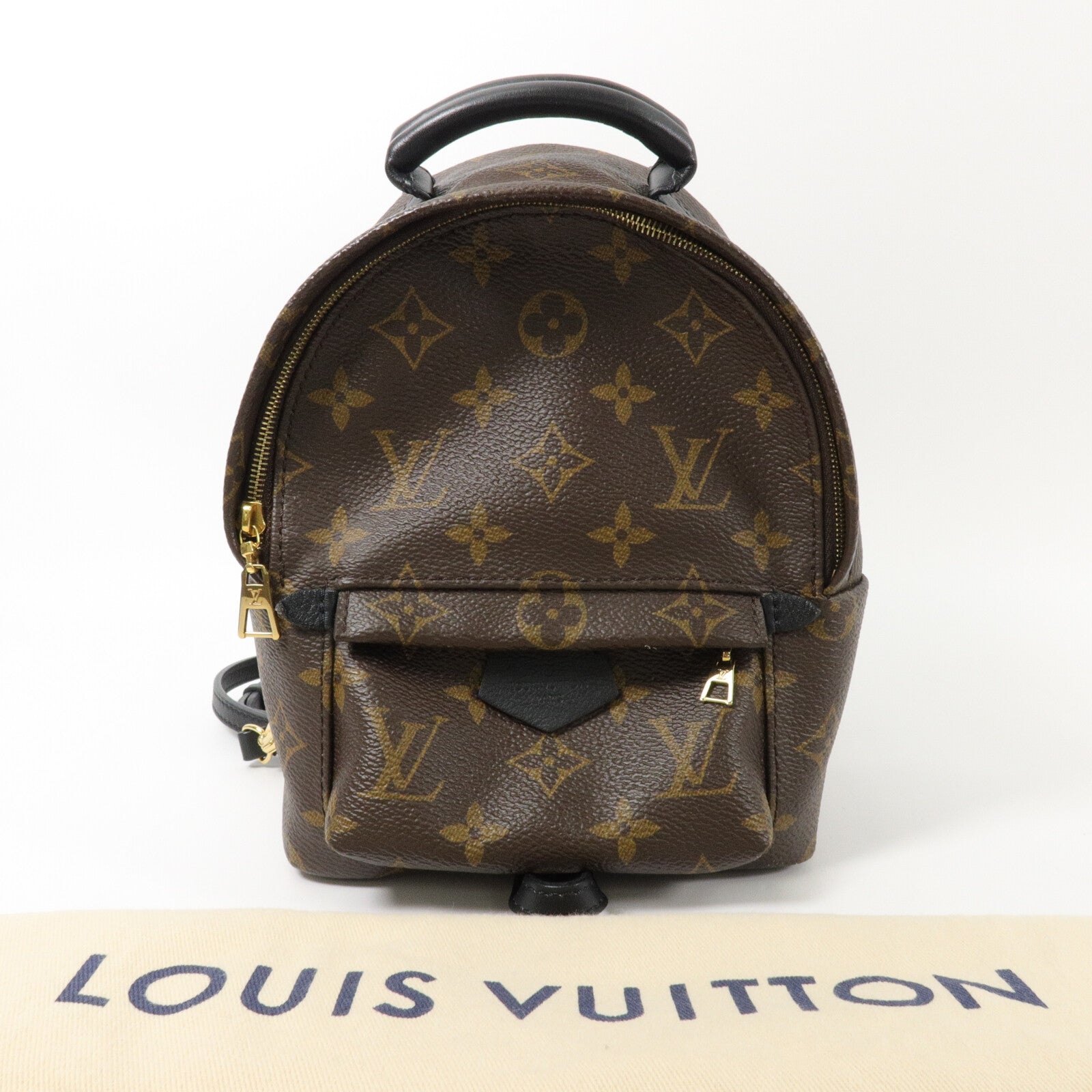 LOUIS VUITTON Monogram Palm Springs Mini背包