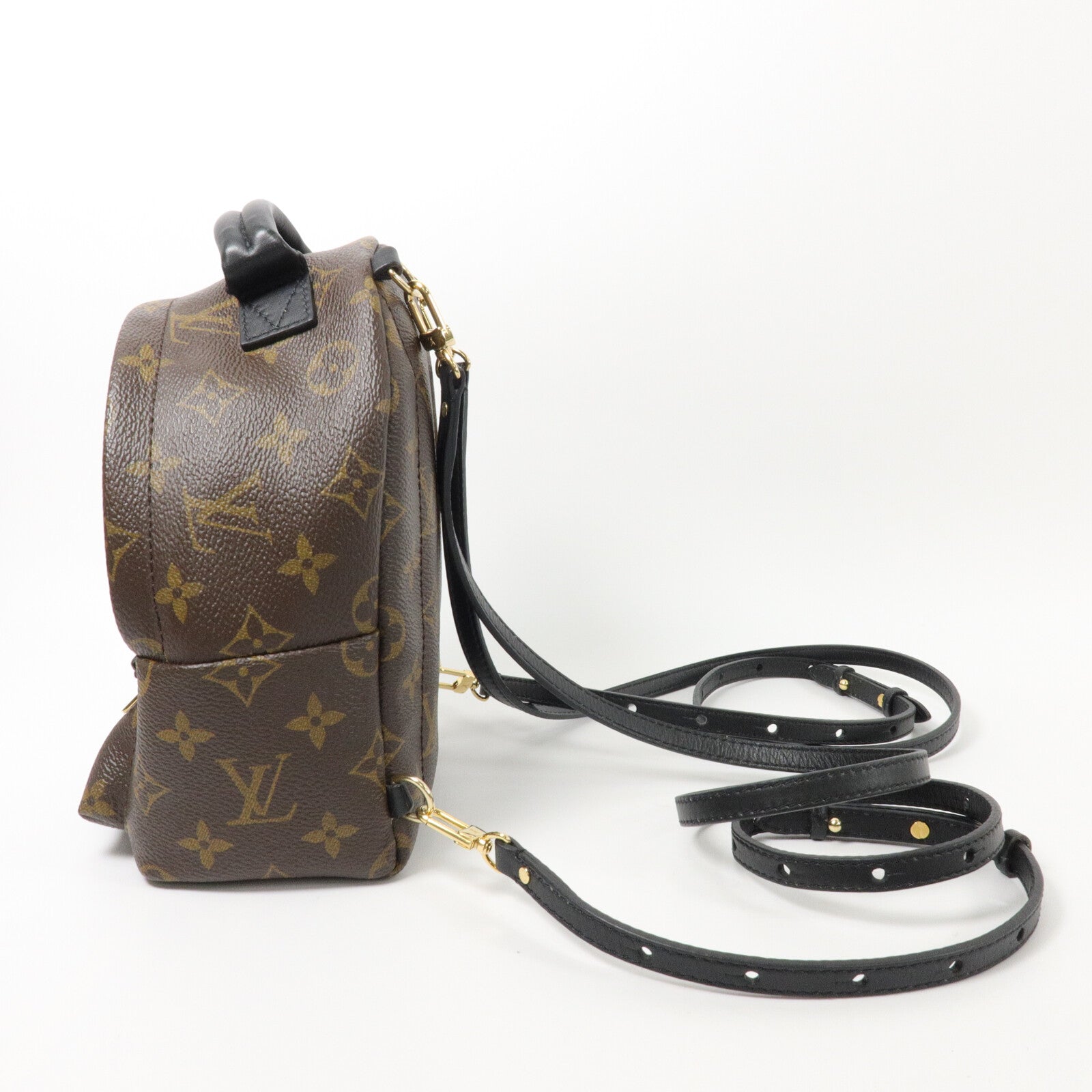 LOUIS VUITTON Monogram Palm Springs Mini背包