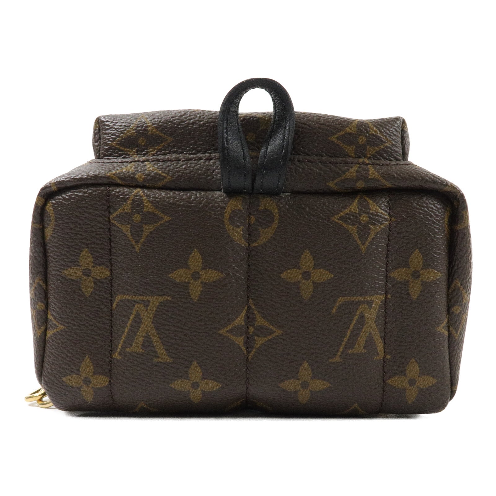 LOUIS VUITTON Monogram Palm Springs Mini背包