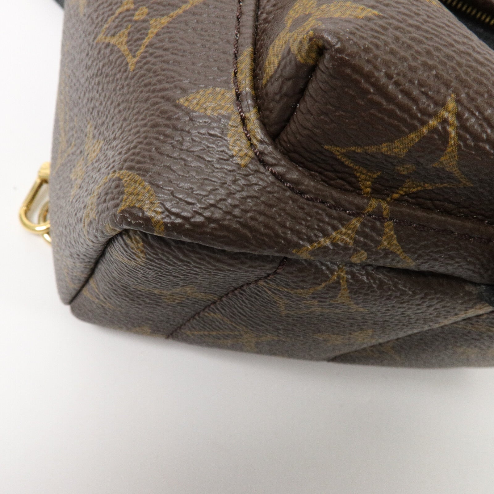 LOUIS VUITTON Monogram Palm Springs Mini背包