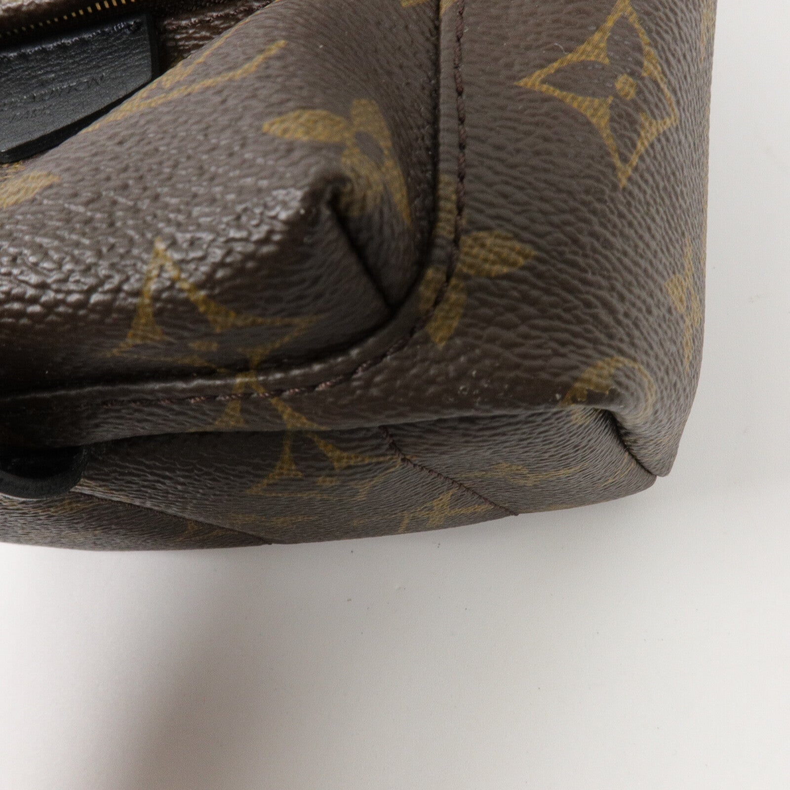 LOUIS VUITTON Monogram Palm Springs Mini背包