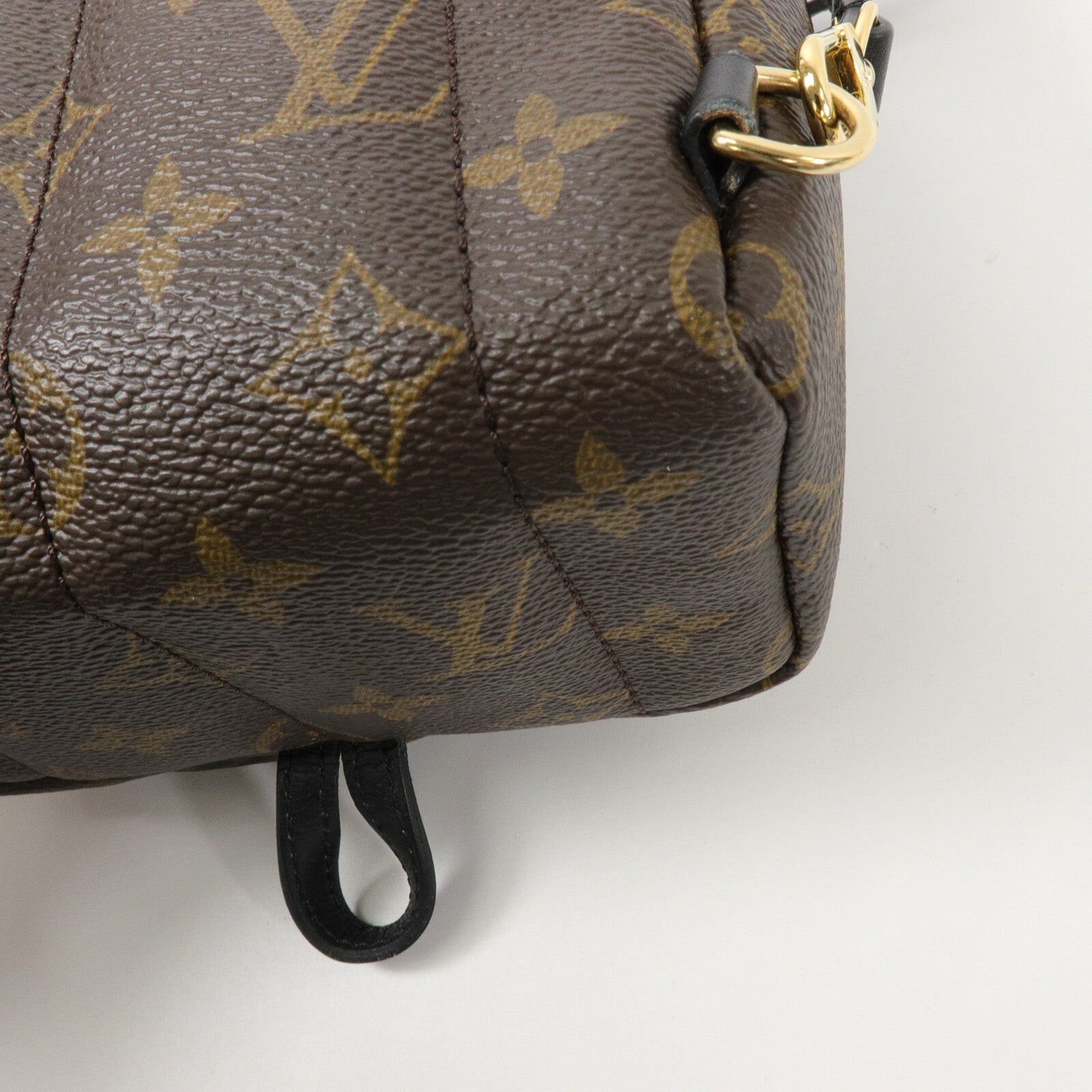 LOUIS VUITTON Monogram Palm Springs Mini背包