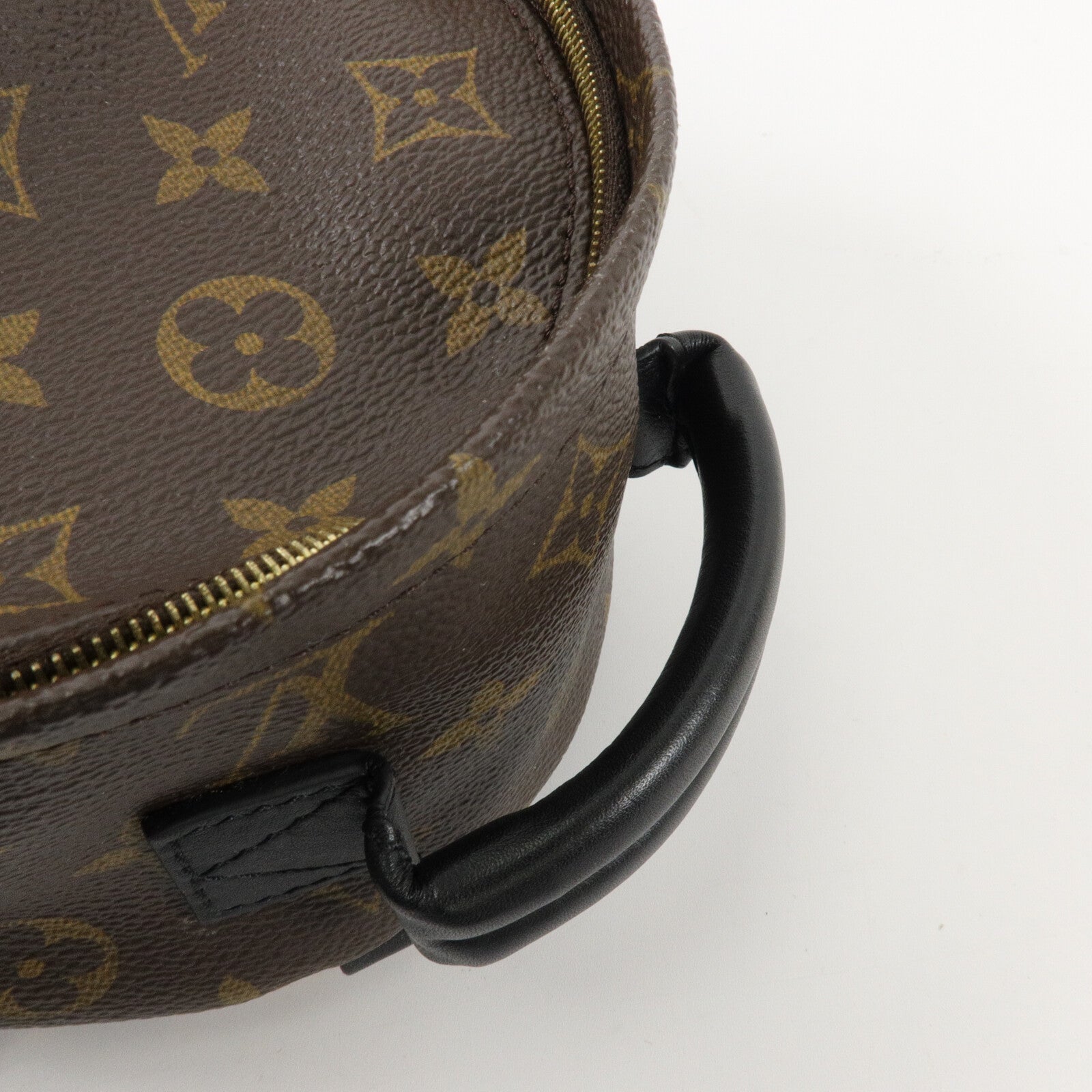 LOUIS VUITTON Monogram Palm Springs Mini背包