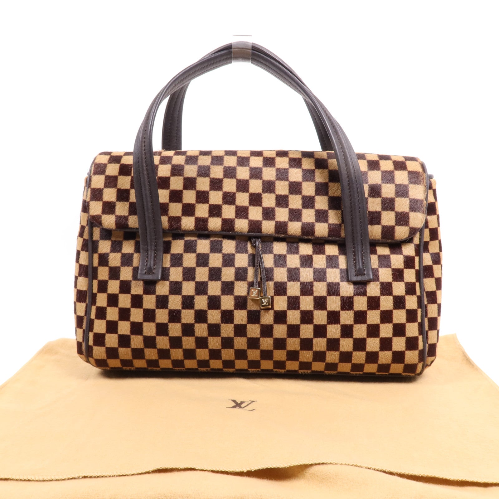 LOUIS VUITTON Damier Sauvage Lionne金扣手挽袋