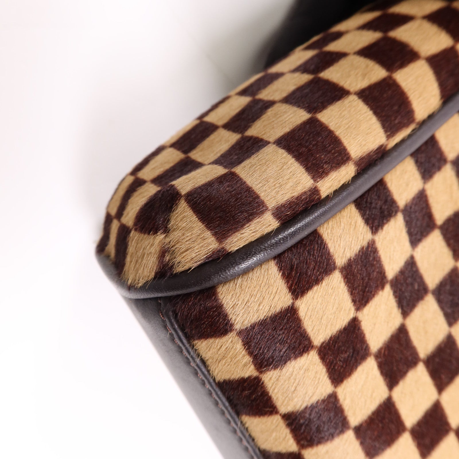 LOUIS VUITTON Damier Sauvage Lionne金扣手挽袋