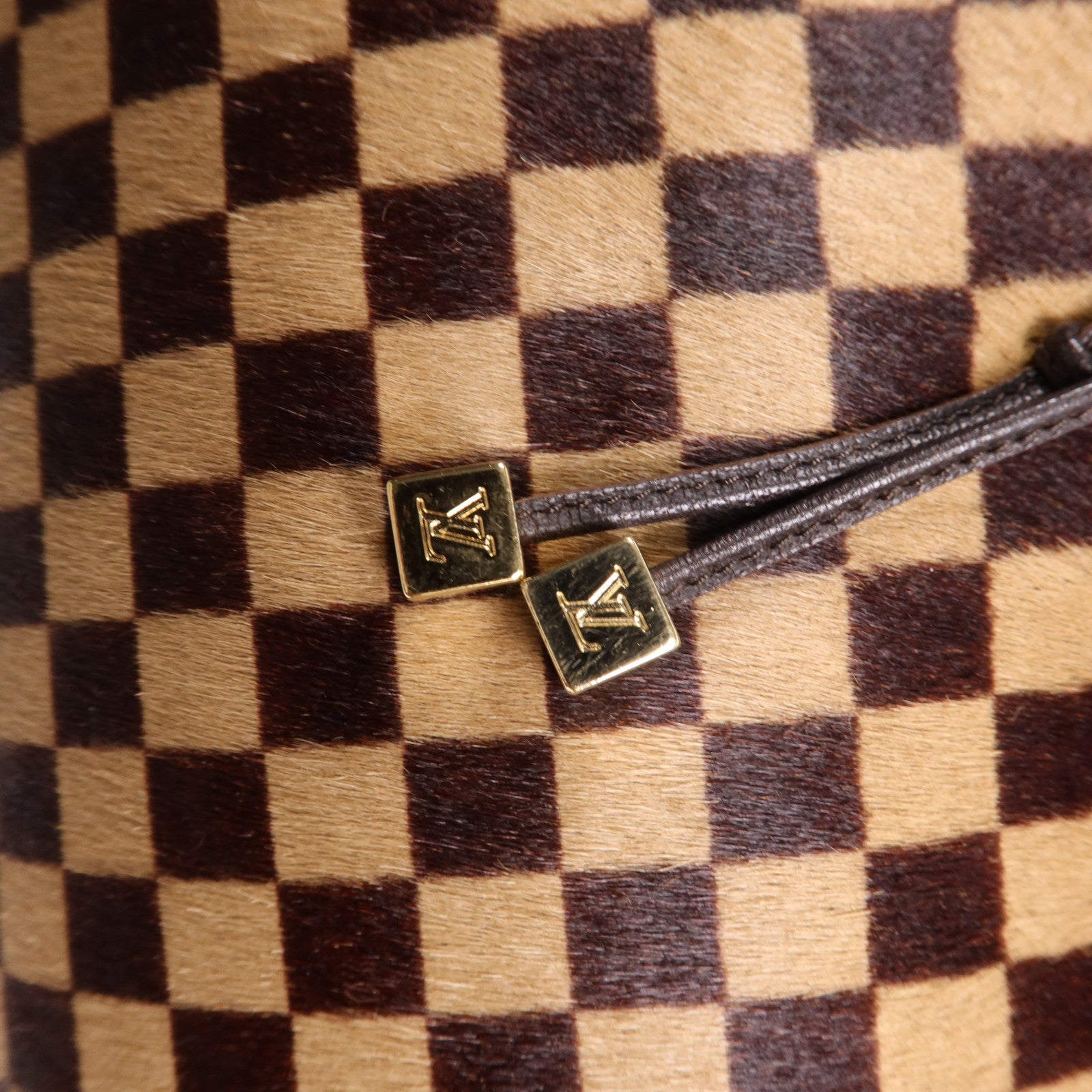 LOUIS VUITTON Damier Sauvage Lionne金扣手挽袋