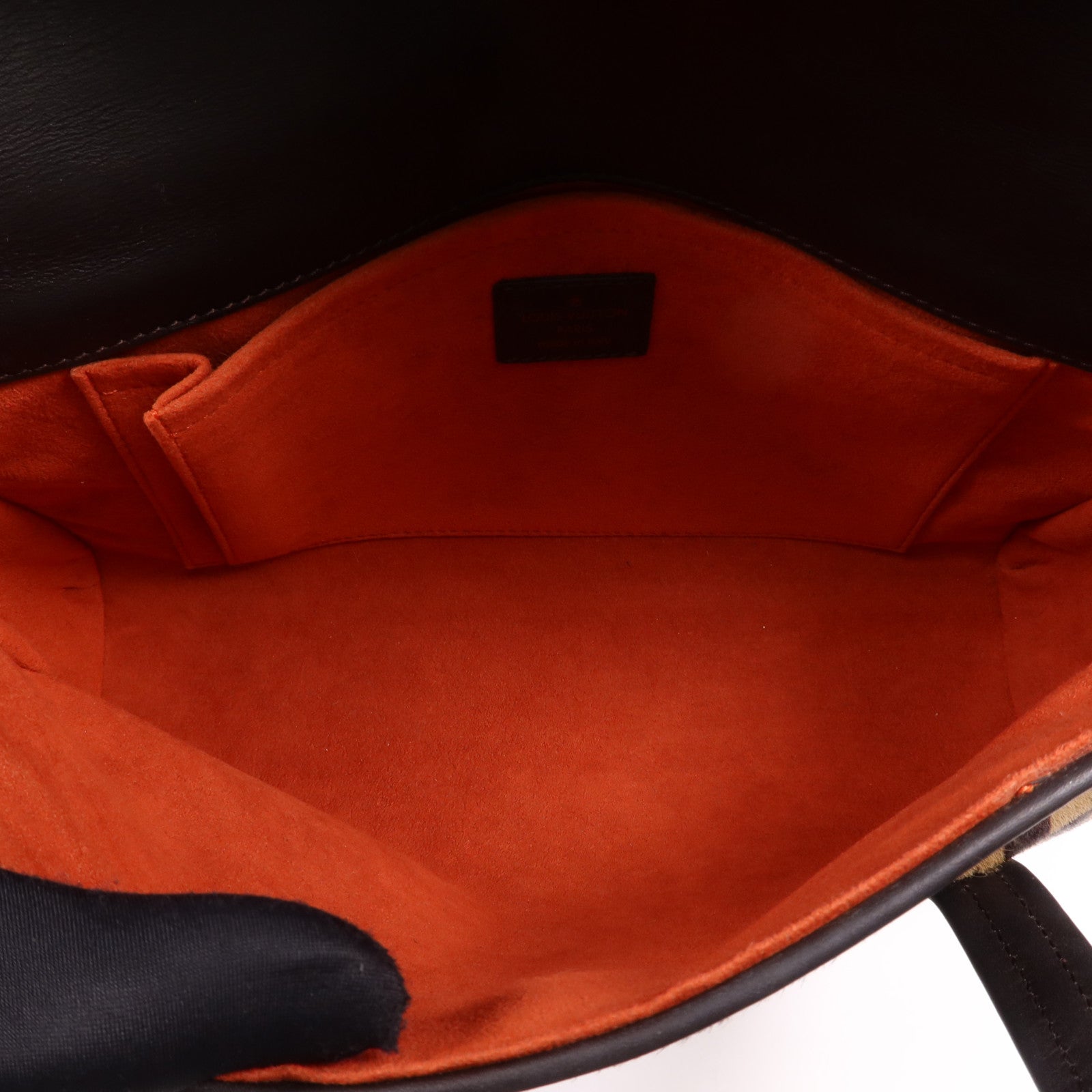 LOUIS VUITTON Damier Sauvage Lionne金扣手挽袋