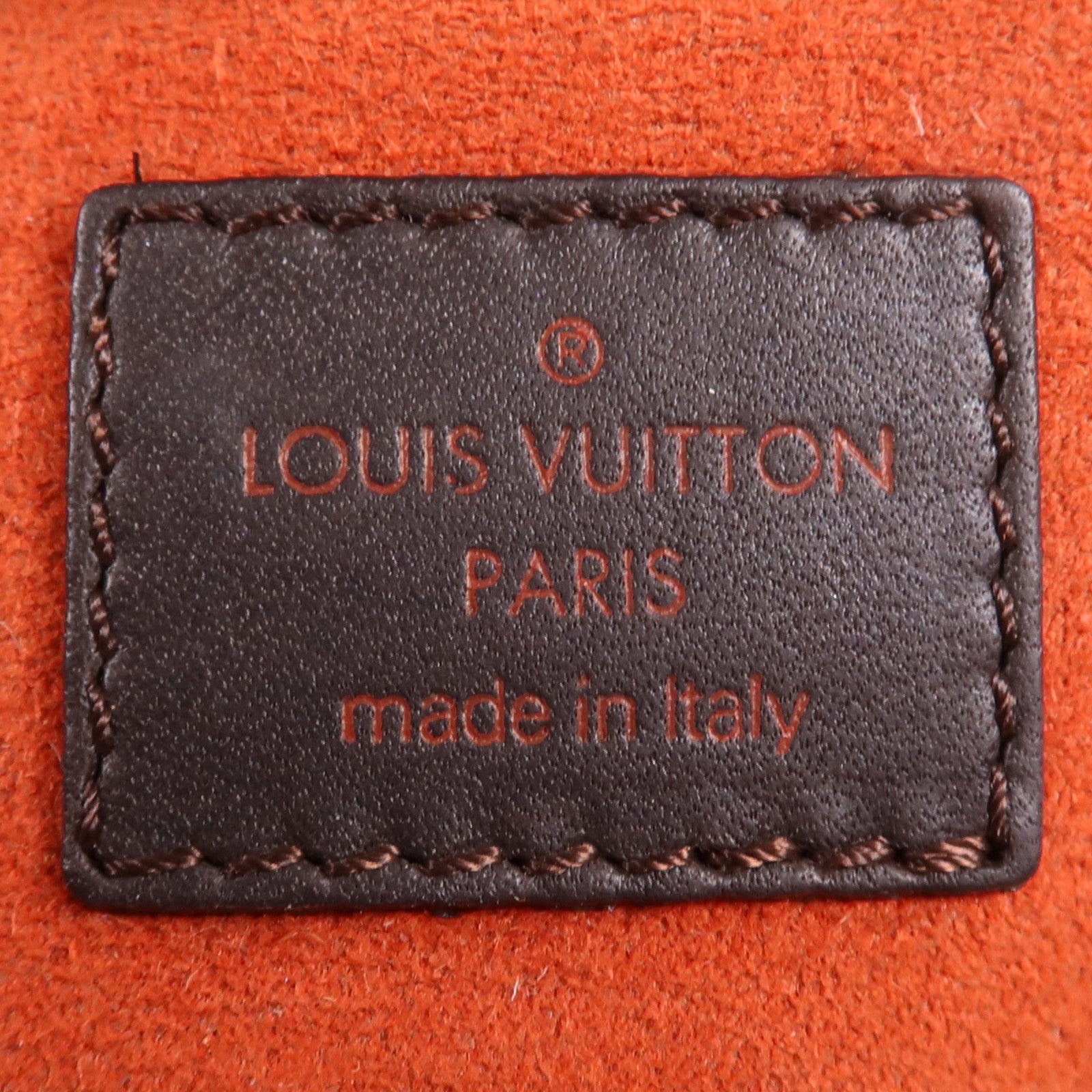 LOUIS VUITTON Damier Sauvage Lionne金扣手挽袋