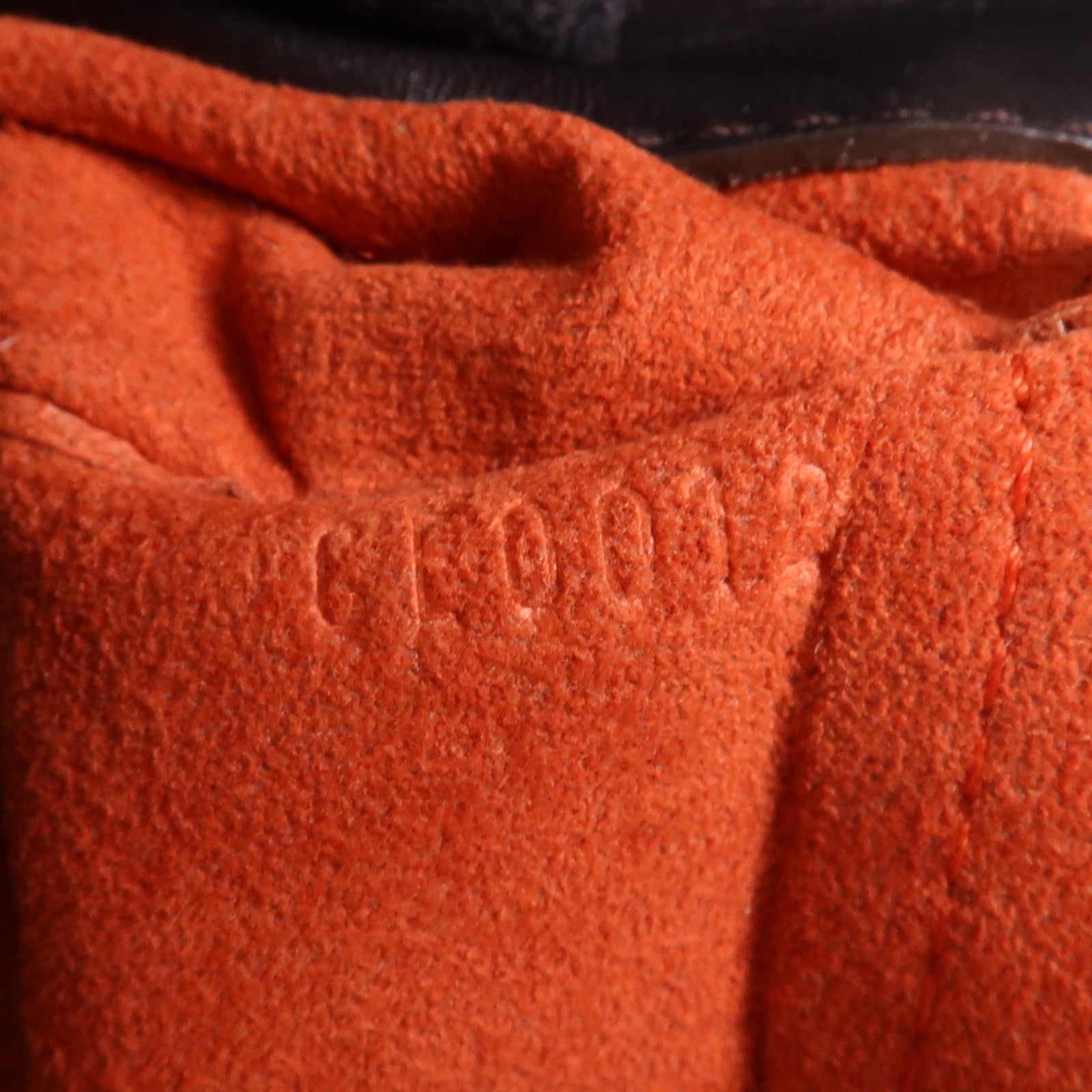 LOUIS VUITTON Damier Sauvage Lionne金扣手挽袋