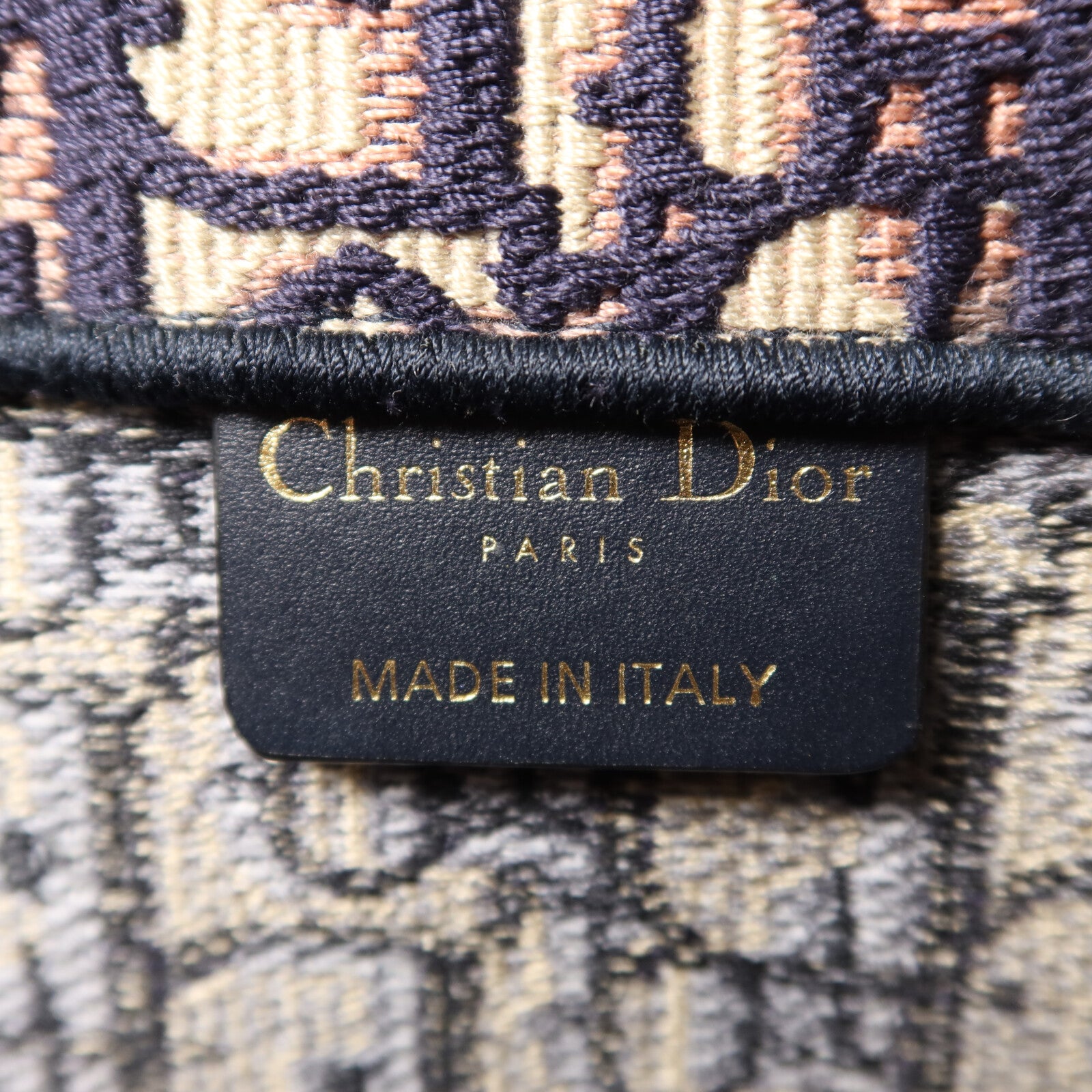 Dior 帆布Book Tote Medium手挽袋