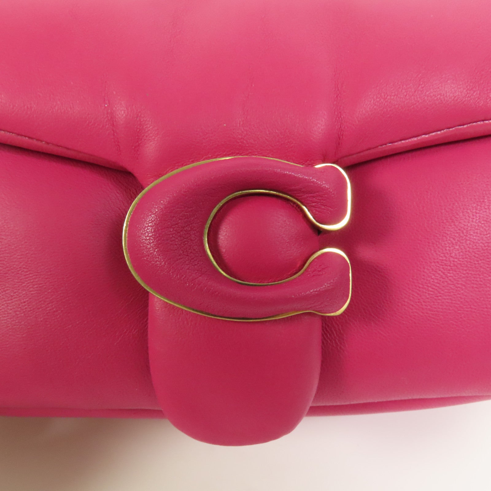 COACH 羊皮皮革Pillow Tabby 18金扣手挽肩背兩用袋