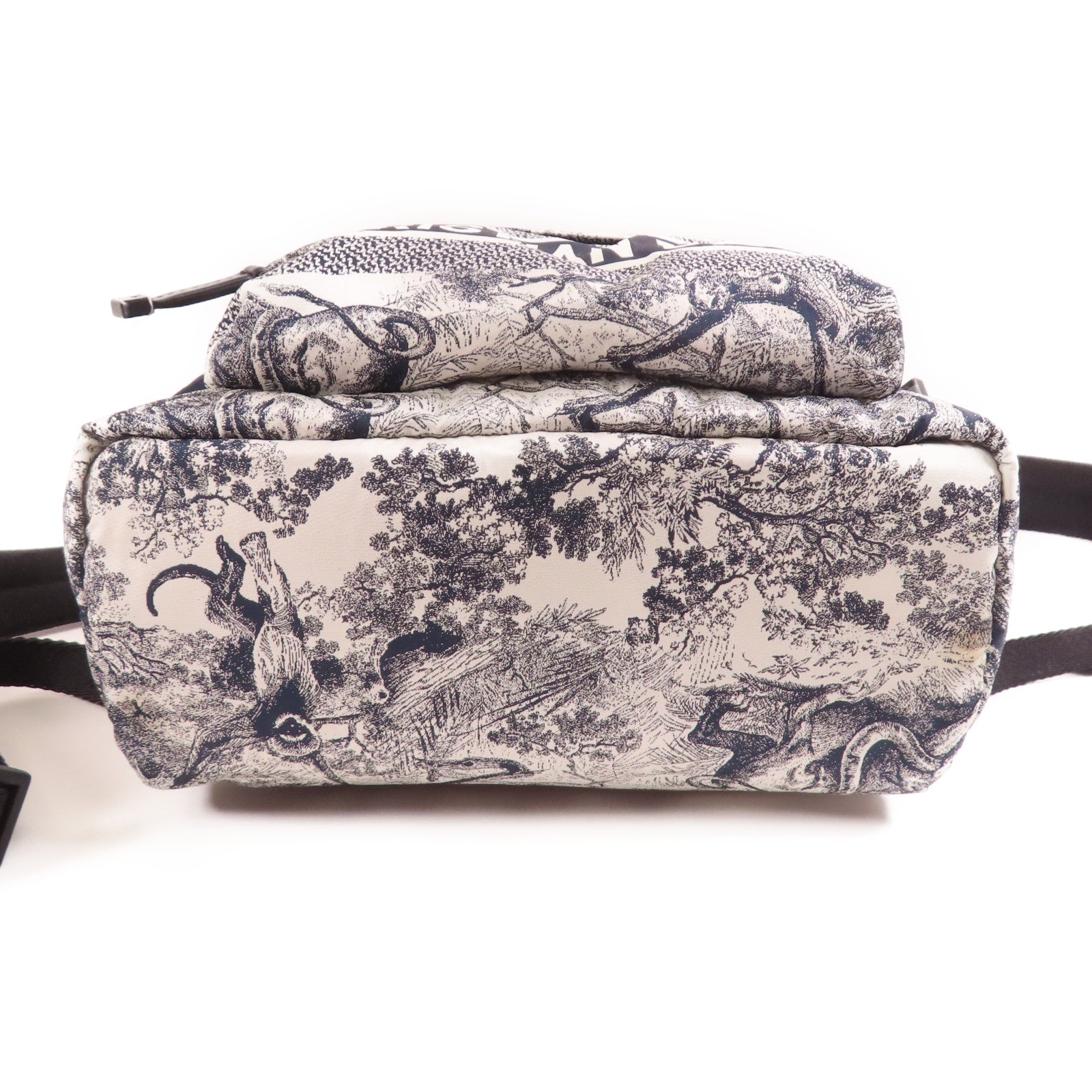 Dior 帆布Backpack背包