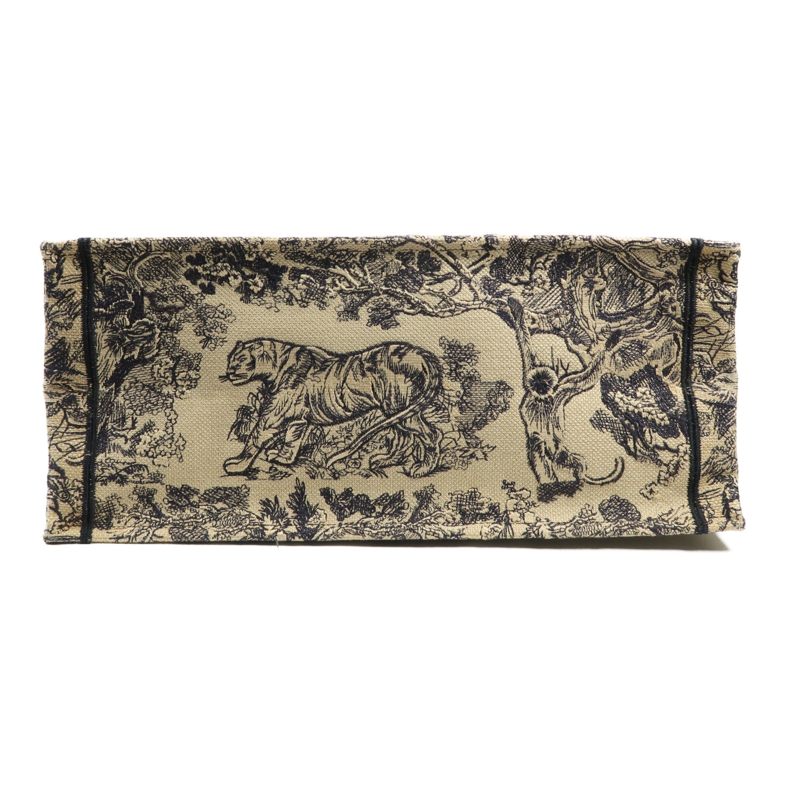 Dior 帆布Book Tote手挽袋