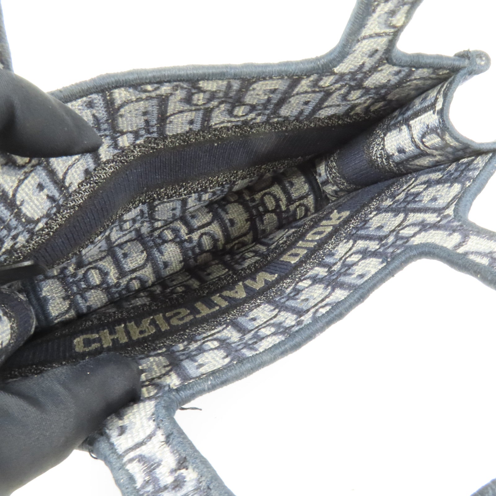 Dior 帆布Book Tote Mini手挽袋