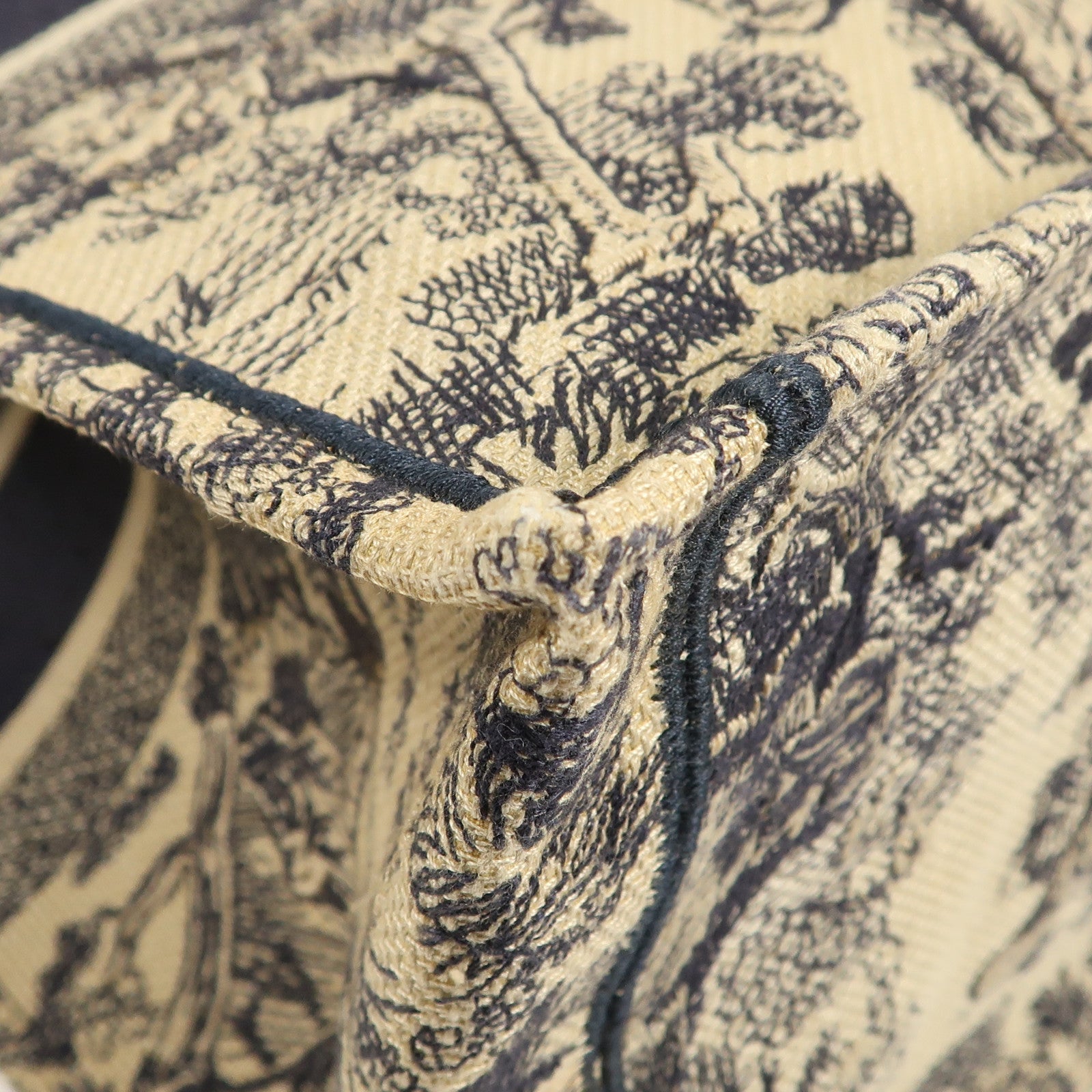 Dior 帆布Book Tote手挽袋