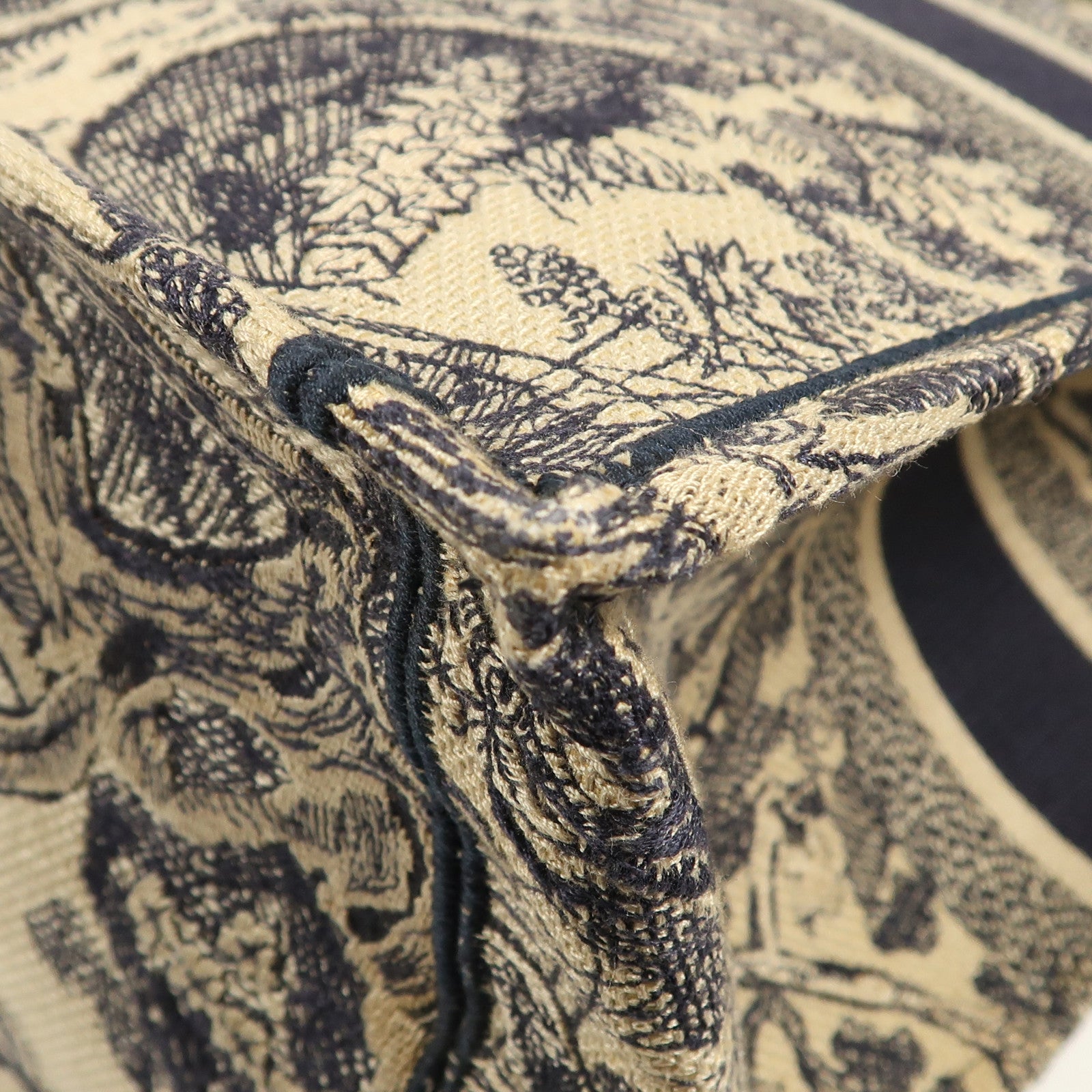 Dior 帆布Book Tote手挽袋