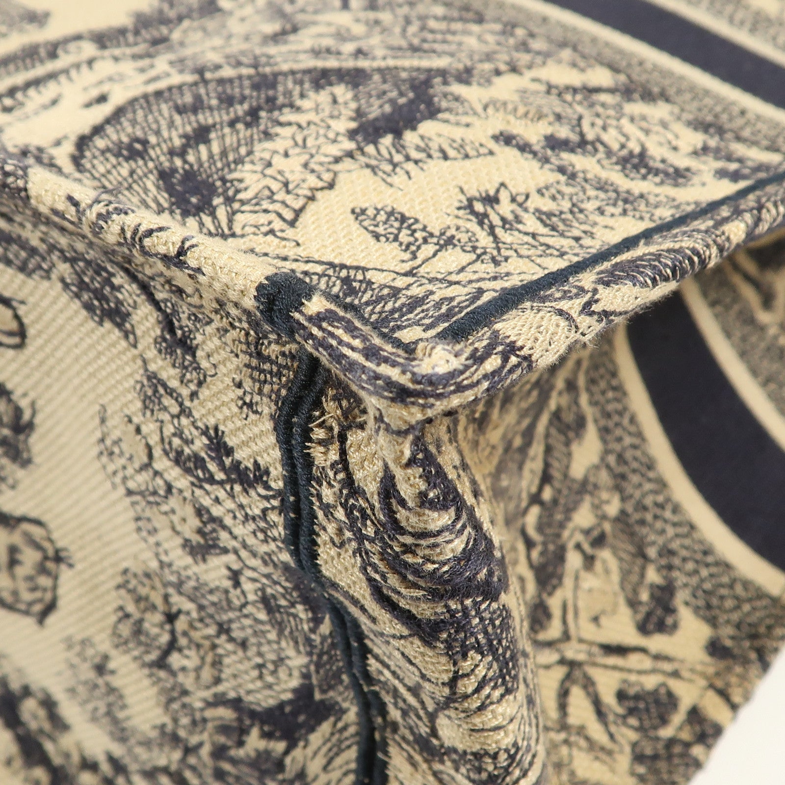 Dior 帆布Book Tote手挽袋