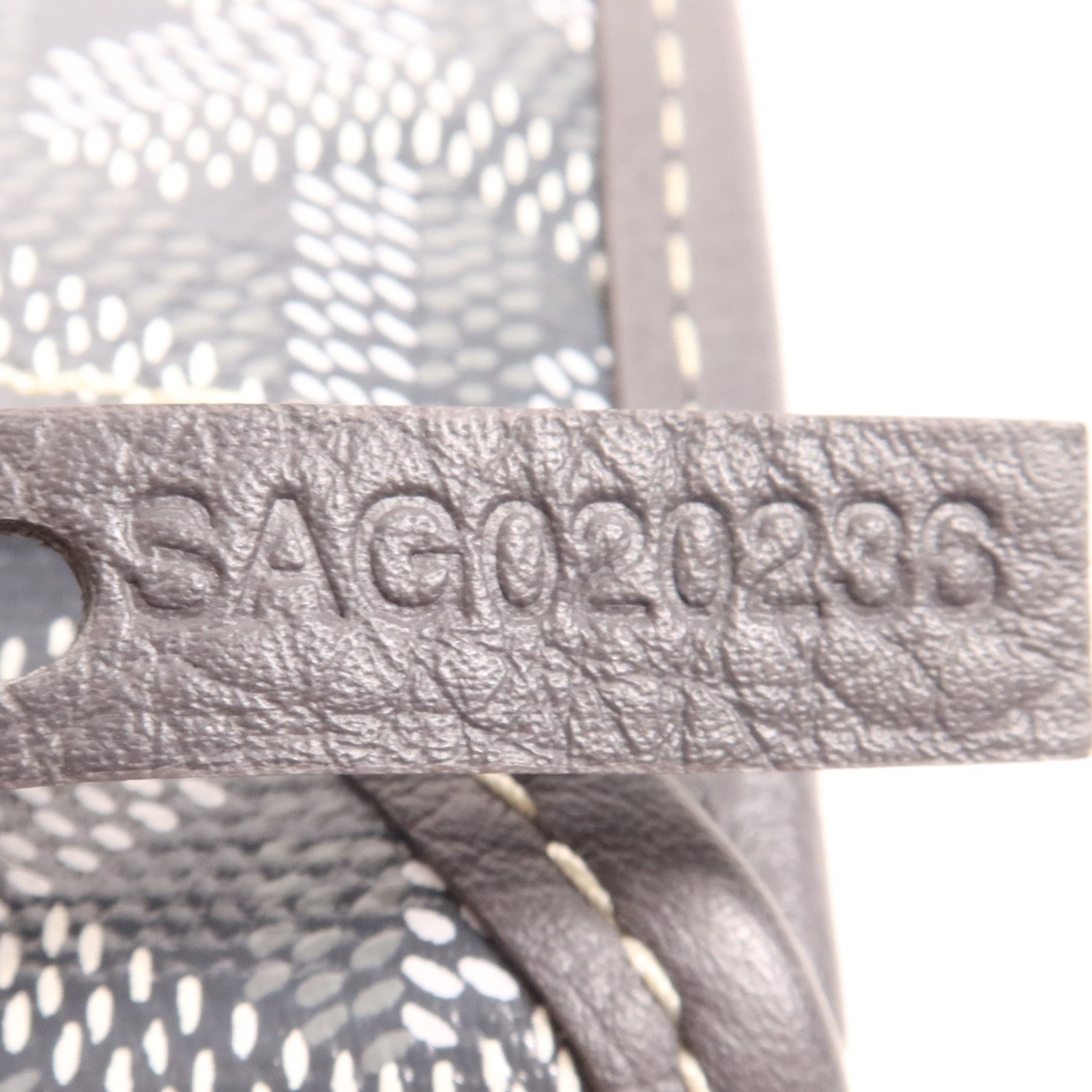 GOYARD 塗層帆布Anjou Mini銀扣手挽袋