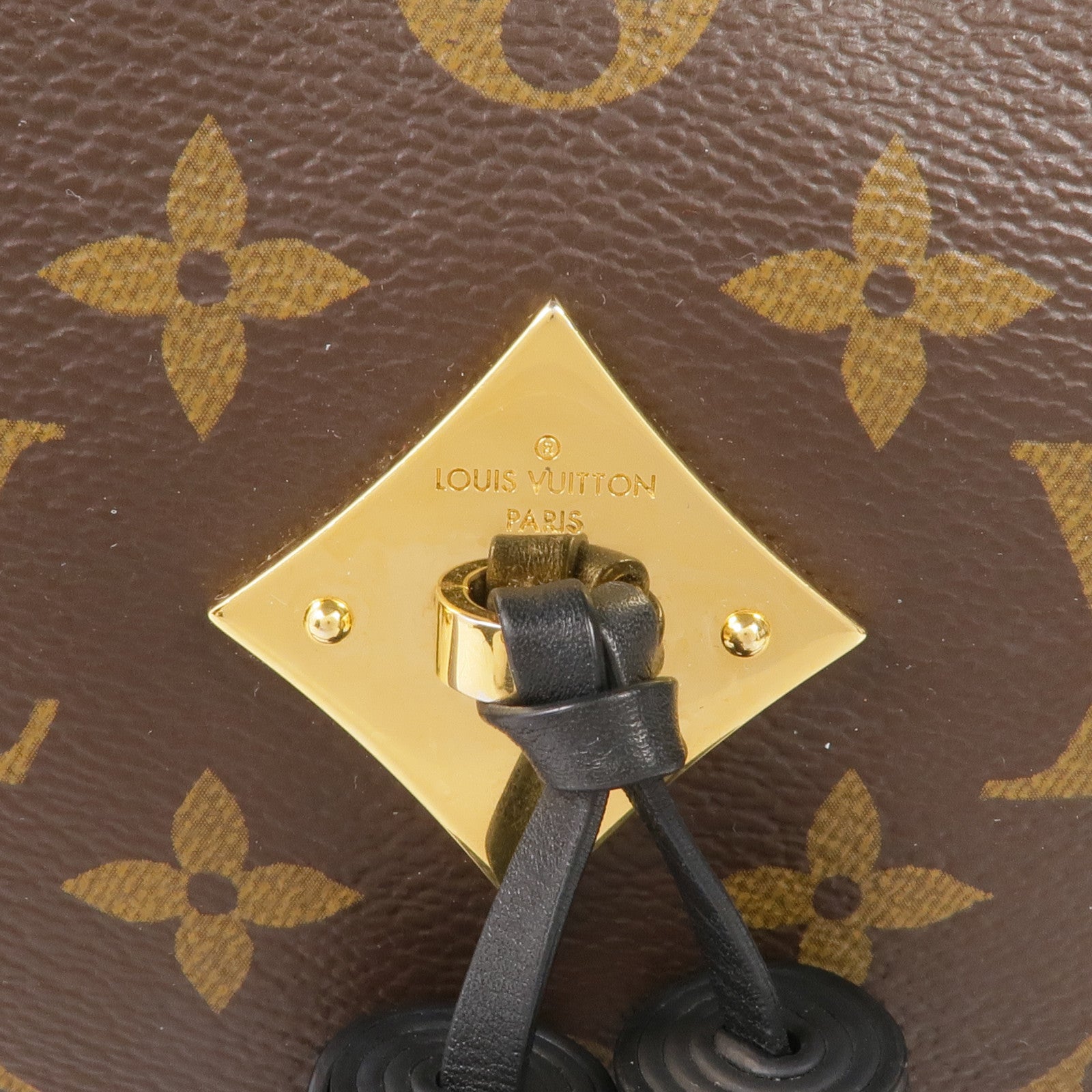 LOUIS VUITTON Monogram/牛皮皮革Saintonge金扣手挽袋棕色