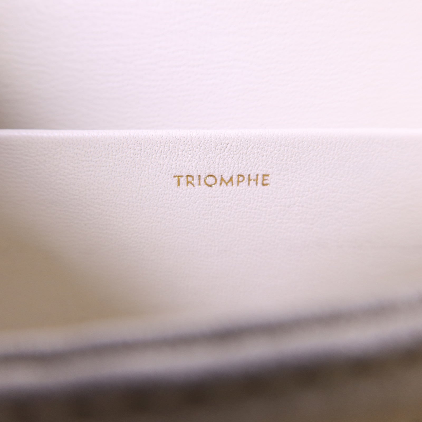 CELINE 【激減優惠】牛皮皮革Teen Triomphe金扣肩背袋