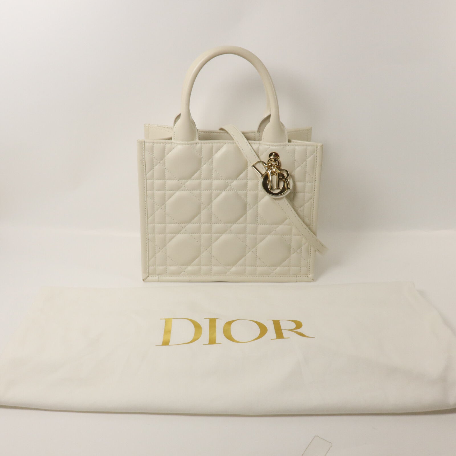 Dior 牛皮皮革Small Dior Book Tote手挽肩背兩用袋