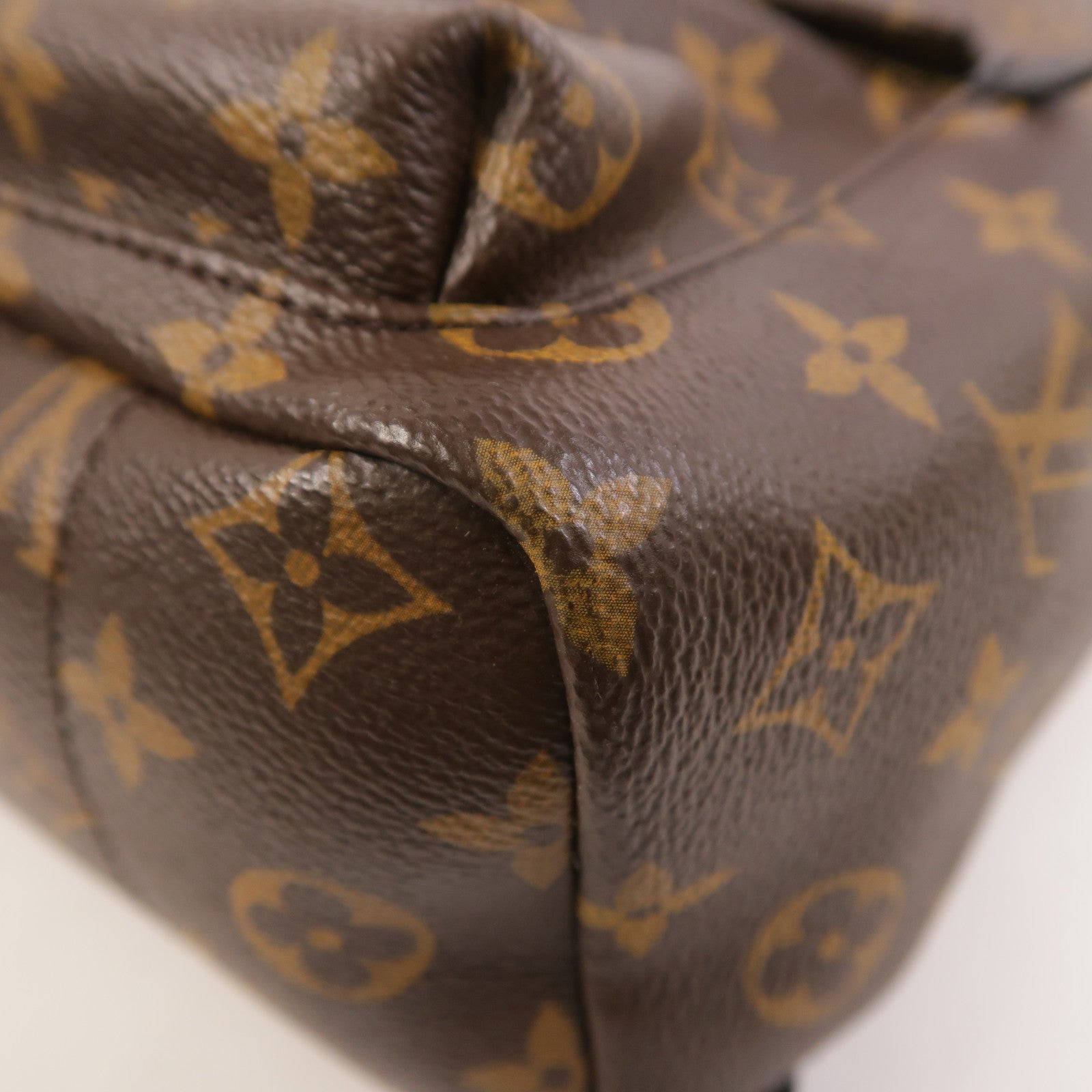 LOUIS VUITTON Monogram Palm Springs PM背包