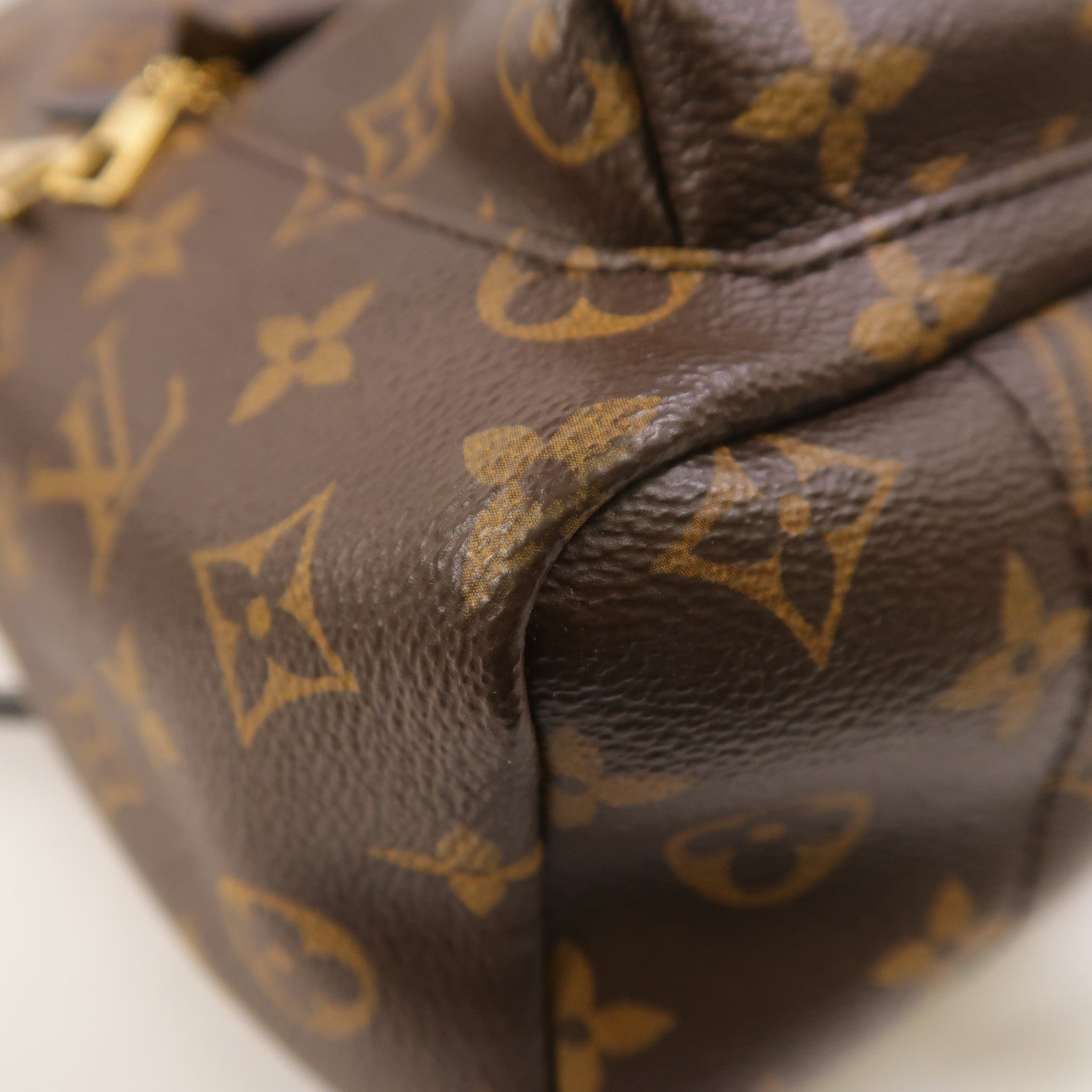 LOUIS VUITTON Monogram Palm Springs PM背包